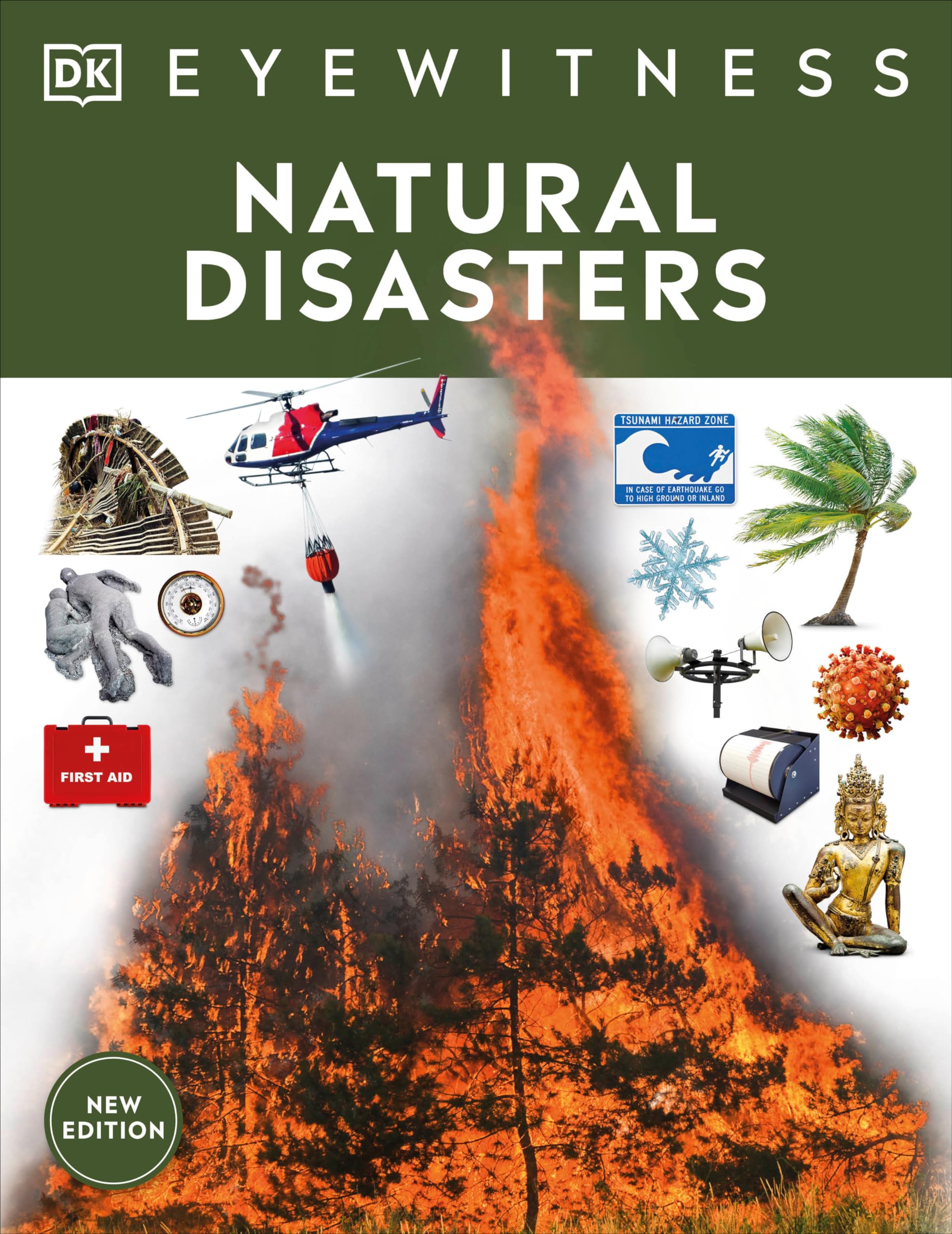 Eyewitness Natural Disasters (Dk Eyewitness),Used