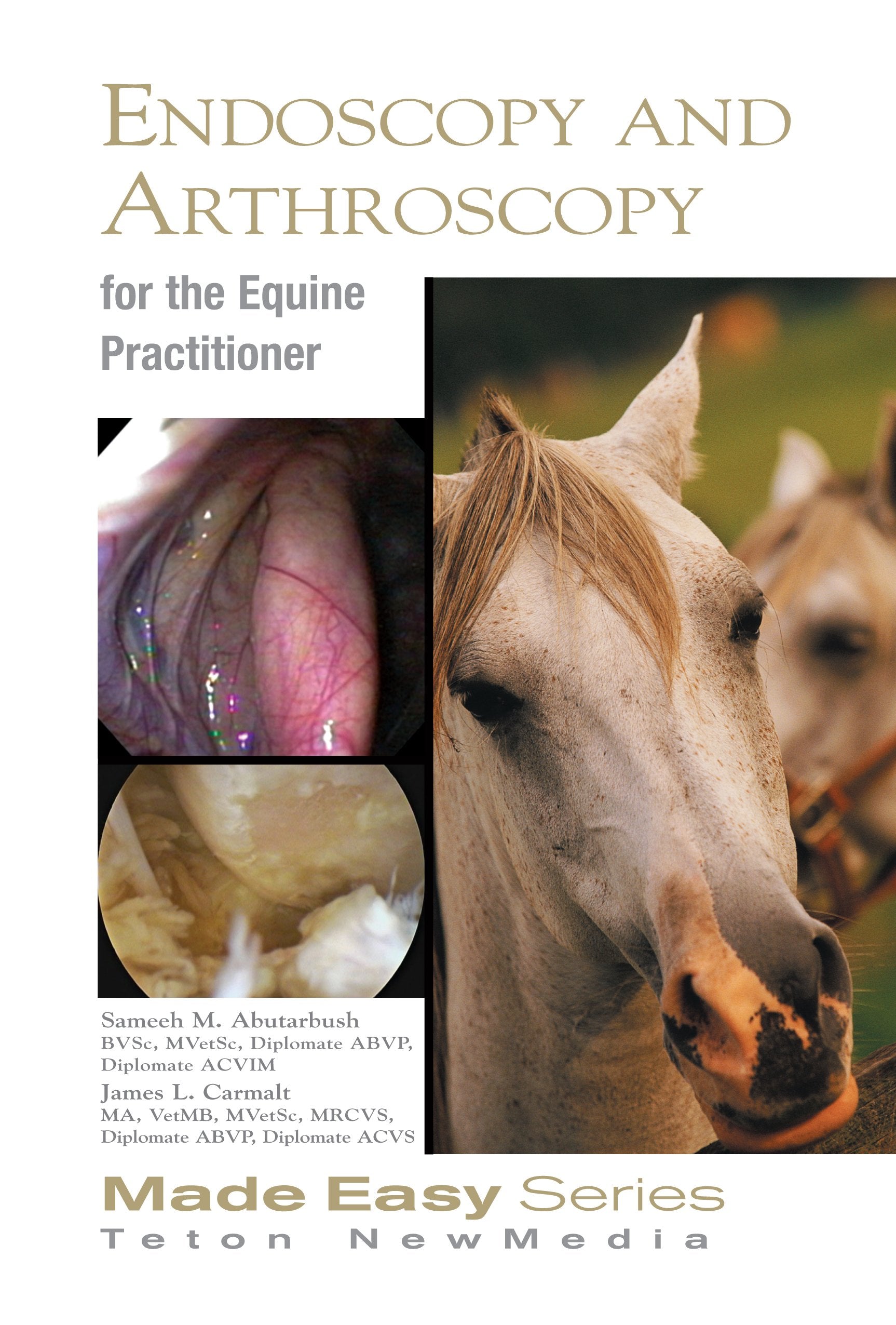 Equine Endoscopy and Arthroscopy for the Equine Practitioner (Equine Made Easy Series),Used