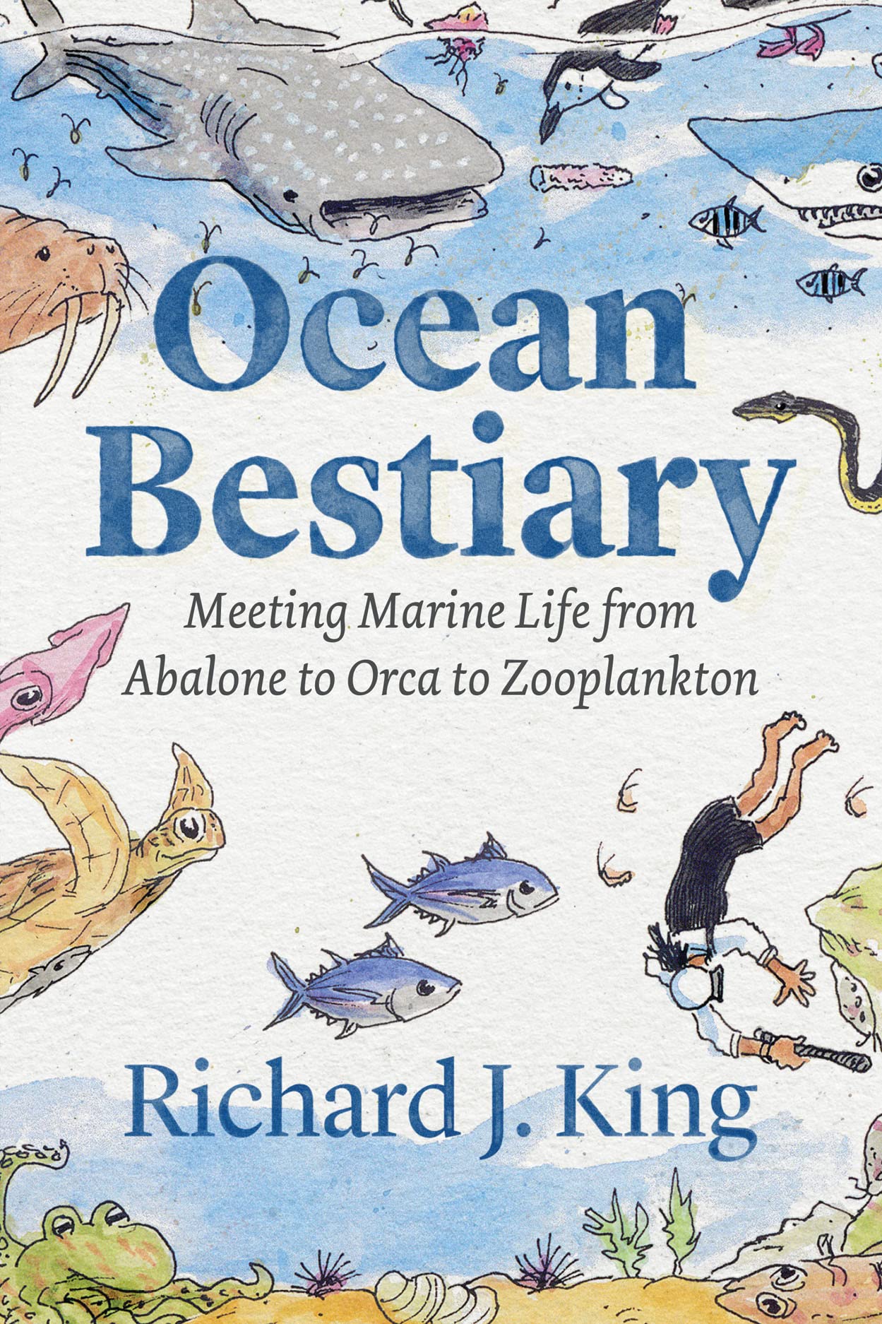 Ocean Bestiary: Meeting Marine Life from Abalone to Orca to Zooplankton (Oceans in Depth),Used