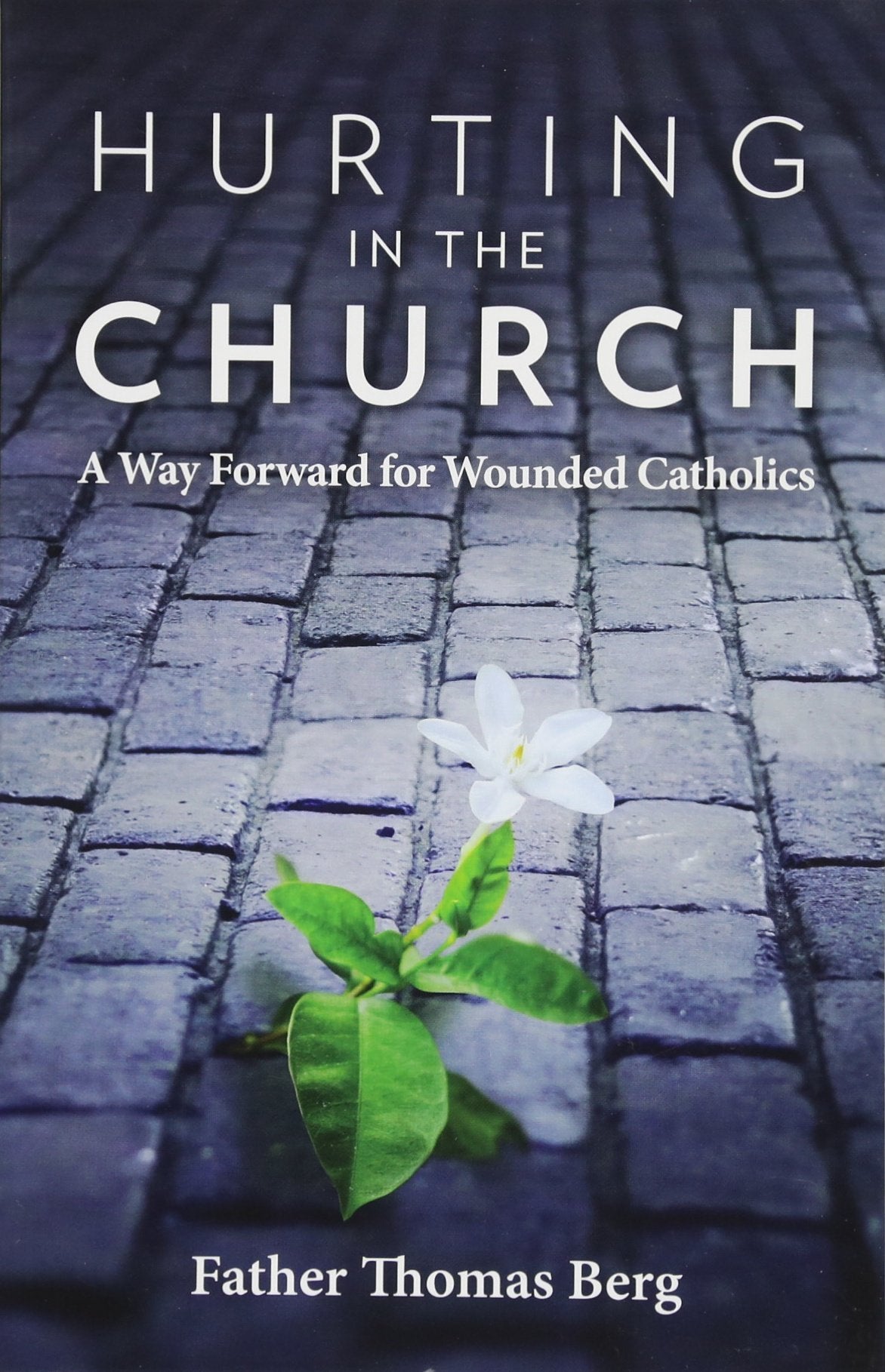 Hurting in the Church: A Way Forward for Wounded Catholics,Used