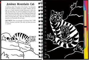 Scratch & Sketch Wild Cats (Trace Along),Used