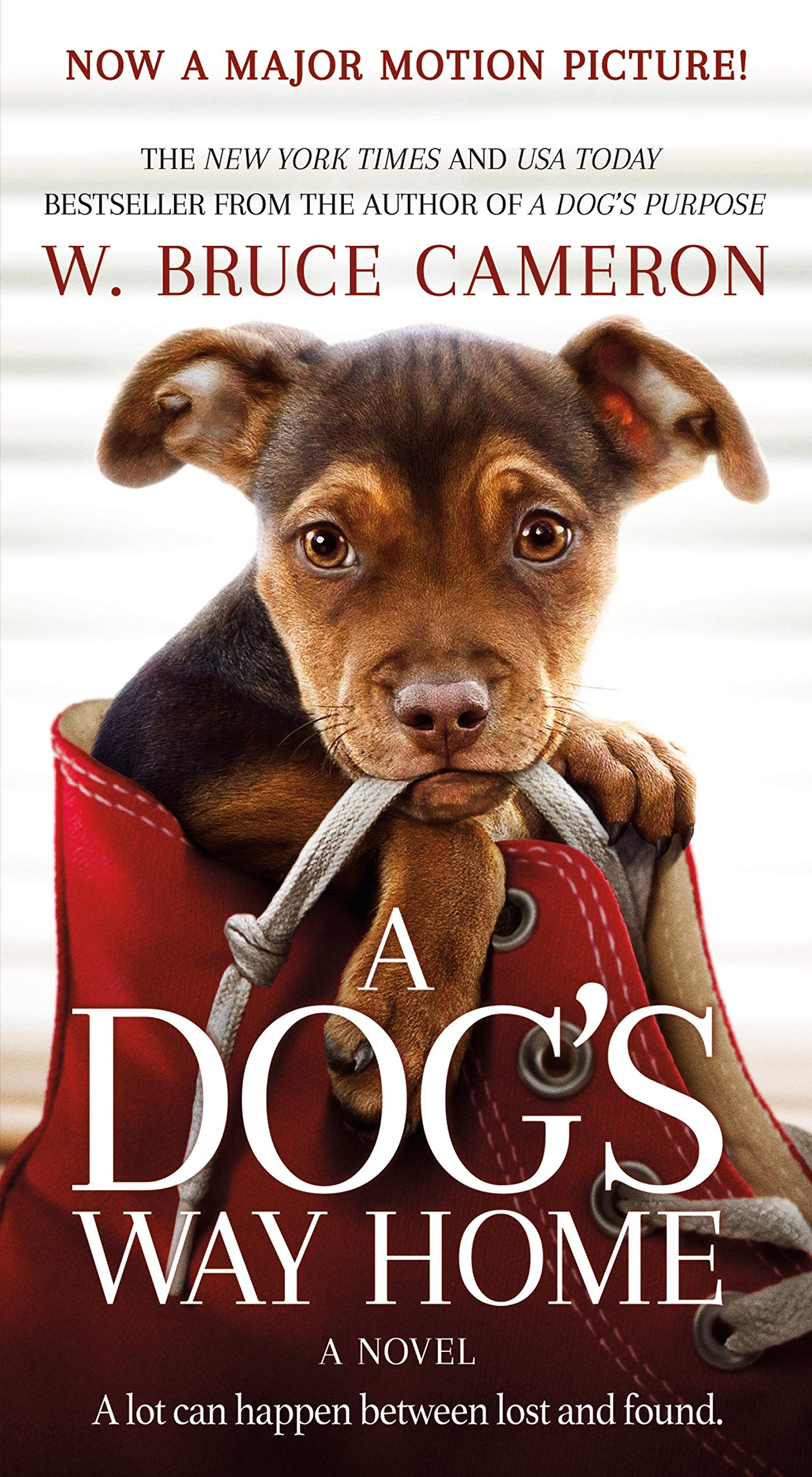 A Dog's Way Home Movie TieIn: A Novel (A Dog's Way Home Novel, 1),New