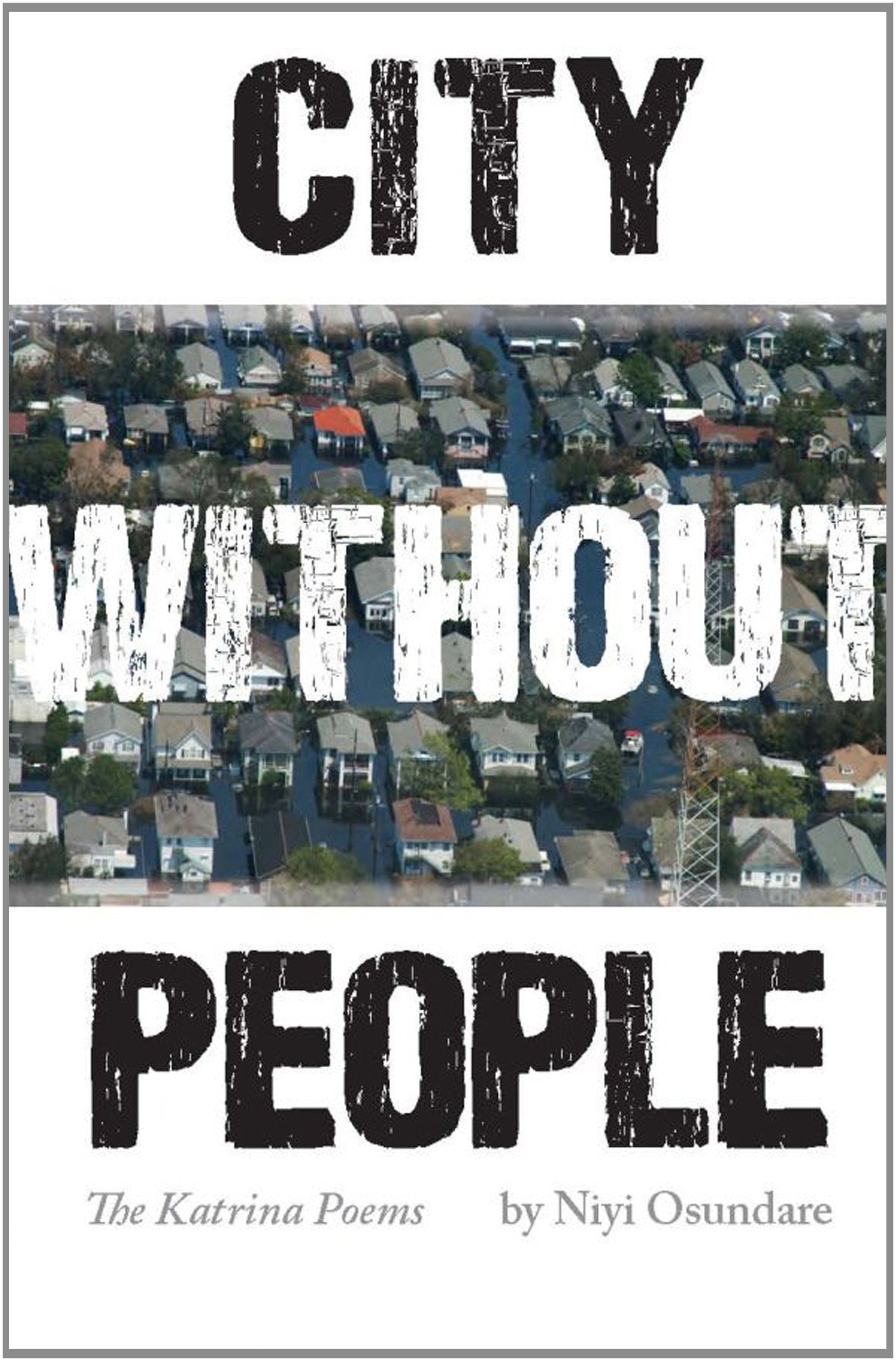 City Without People: The Katrina Poems (Black Widow Press Modern Poetry),New