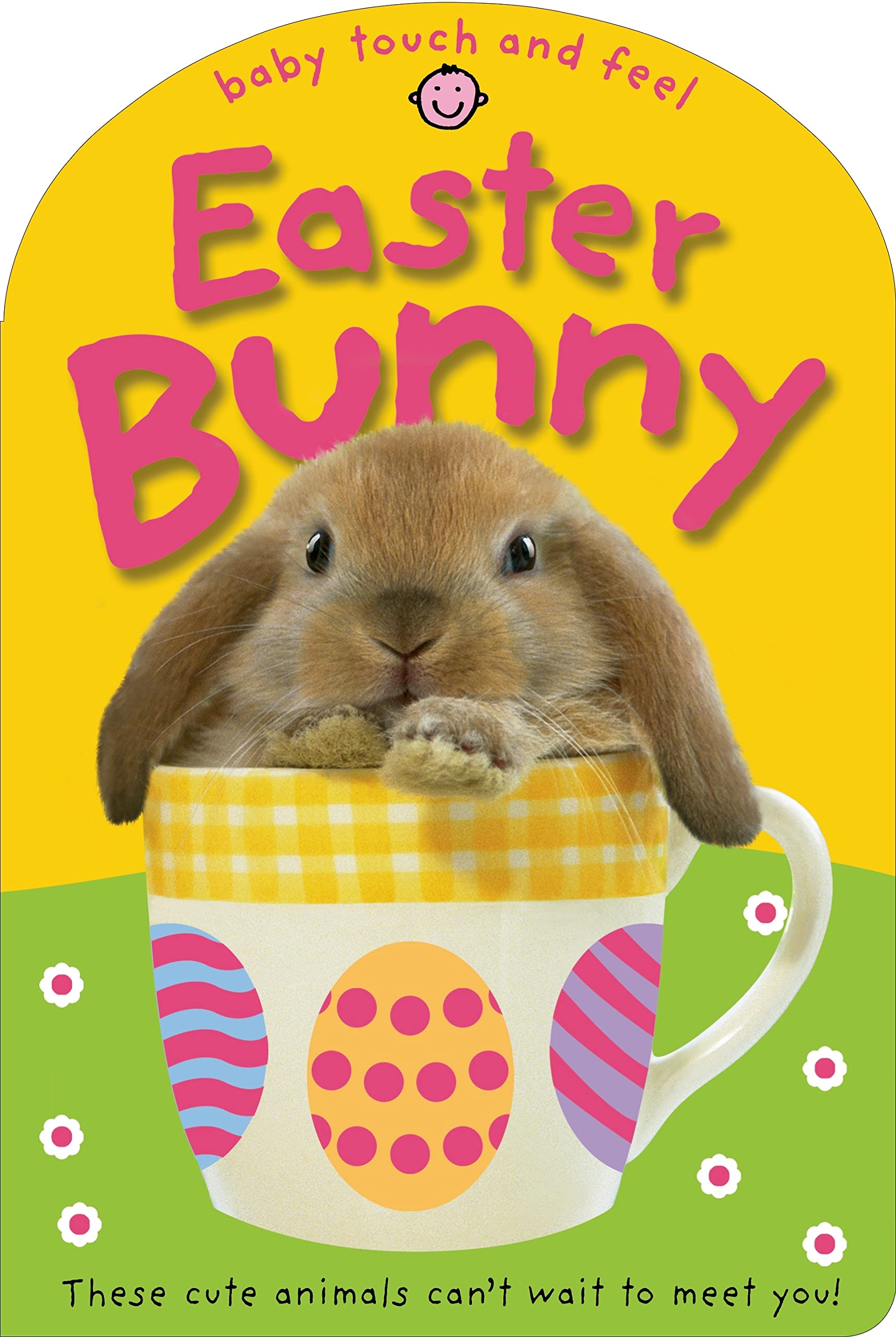 Easter Bunny (Baby Touch and Feel),Used