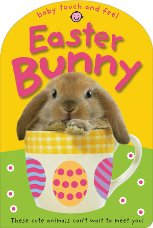 Easter Bunny (Baby Touch and Feel),Used