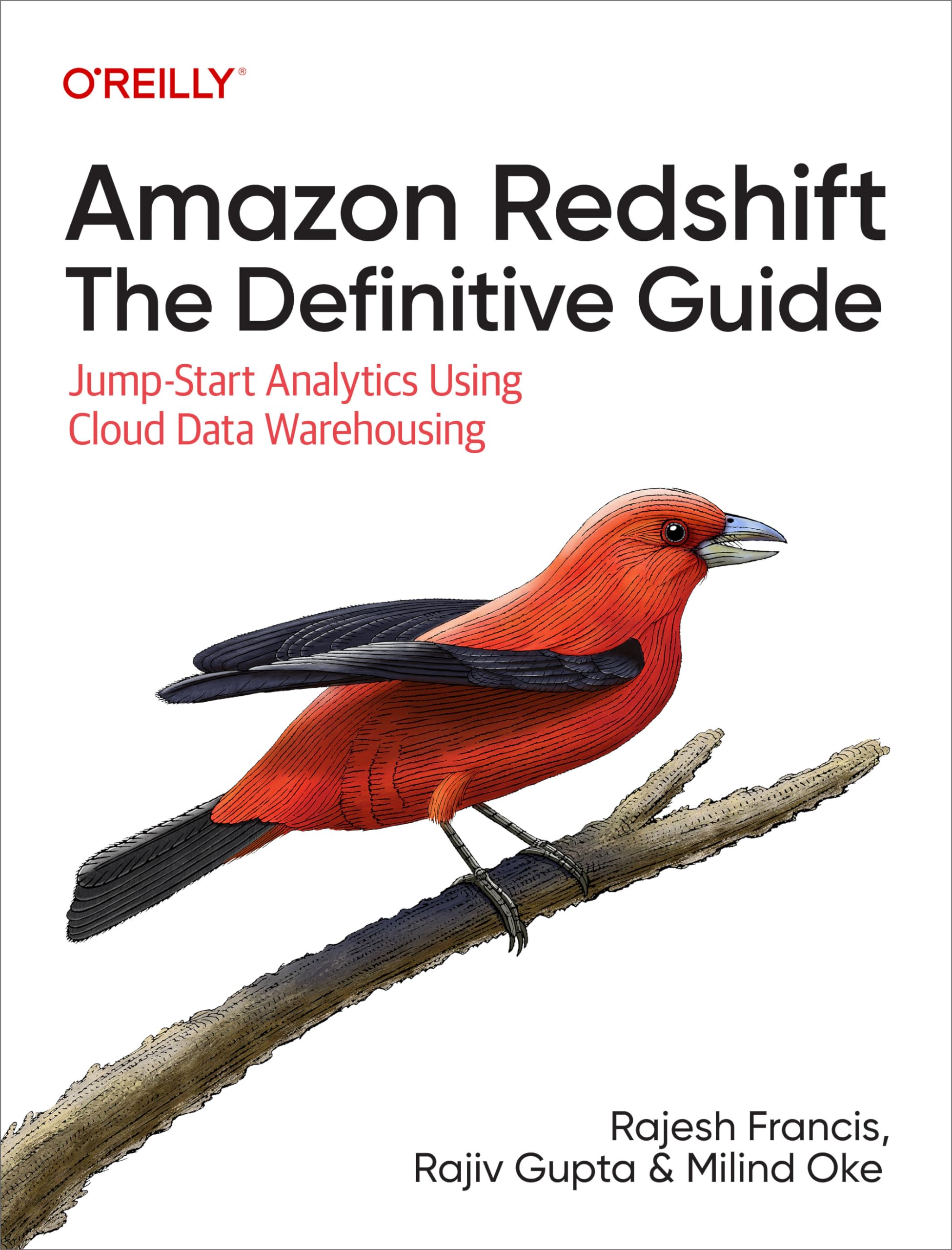 Amazon Redshift: The Definitive Guide: Jumpstart Analytics Using Cloud Data Warehousing,Used