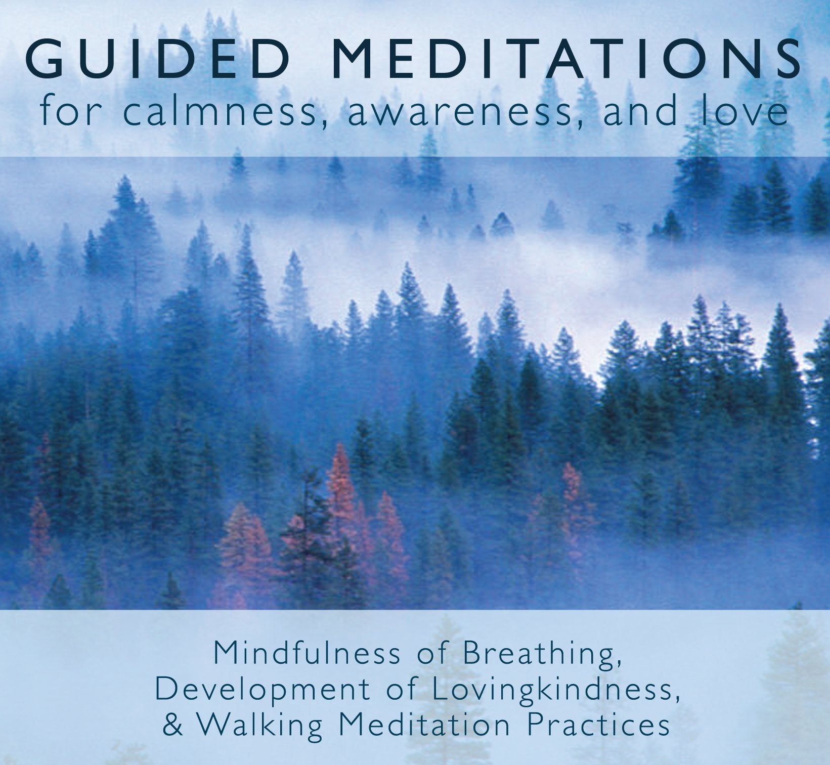Guided Meditations: For Calmness, Awareness, and Love,Used