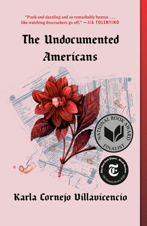 The Undocumented Americans-new
