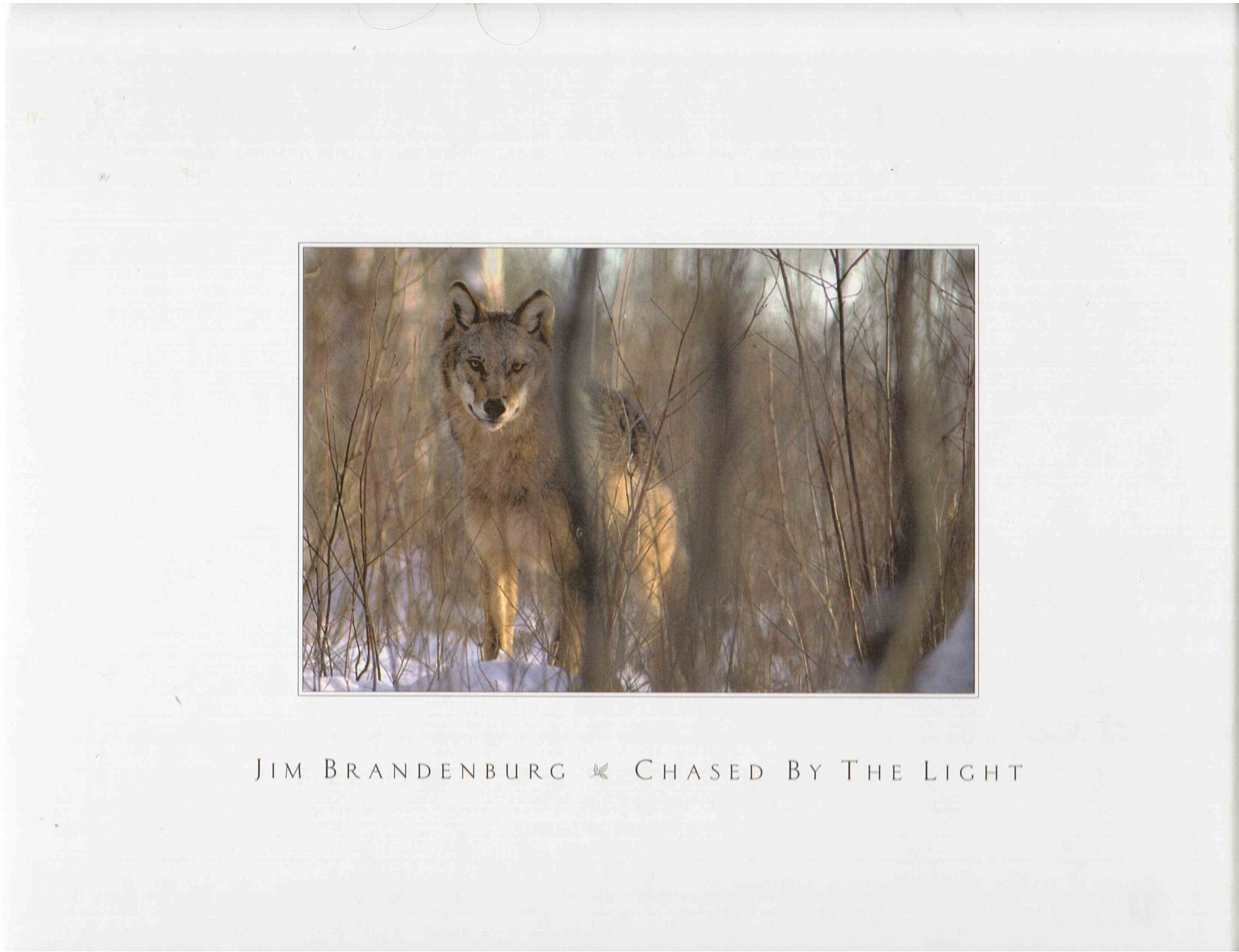 Chased By The Light: A 90Day Journey