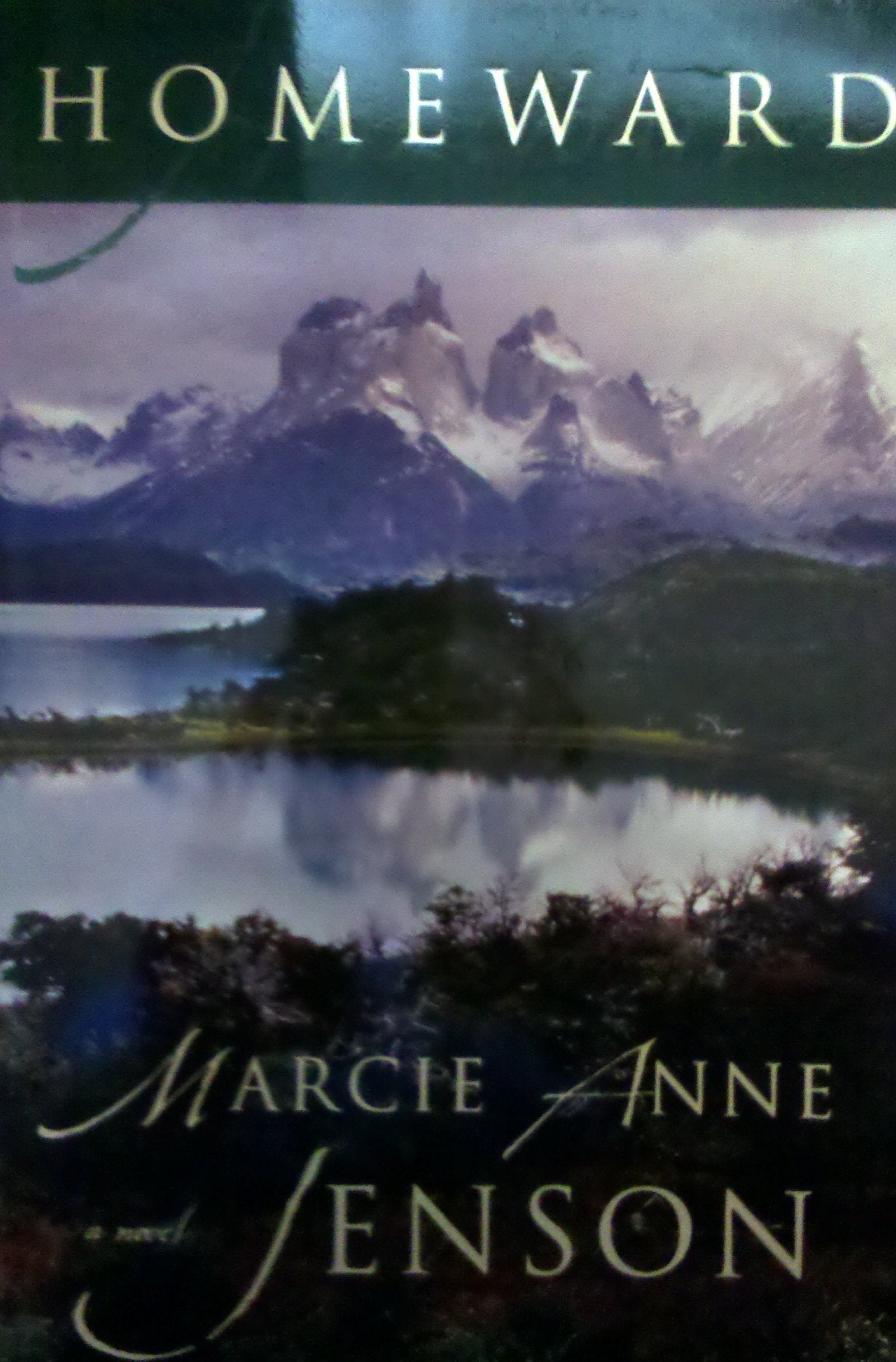 Homeward: A novel,Used