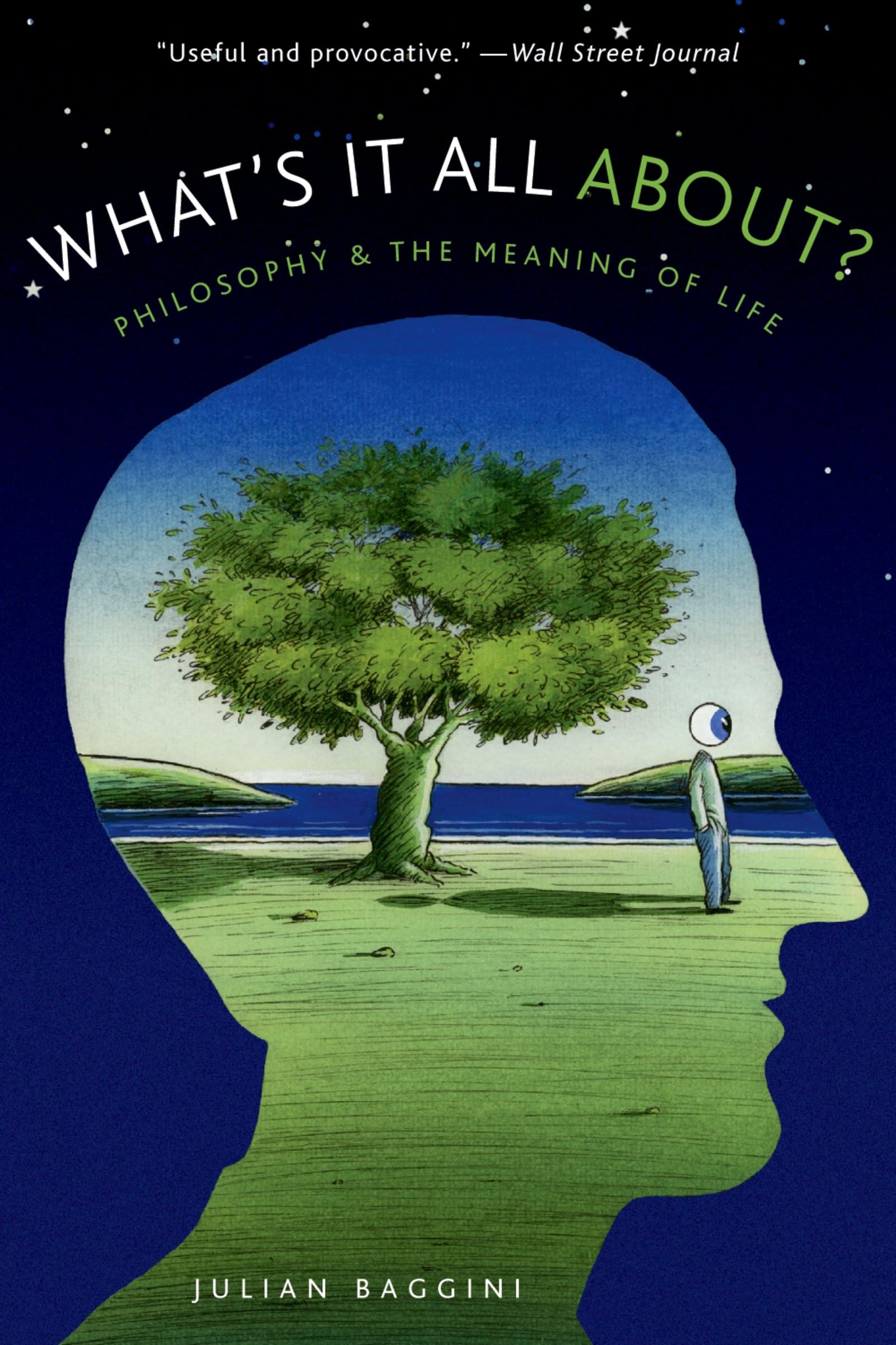 What's It All About?: Philosophy and the Meaning of Life,Used