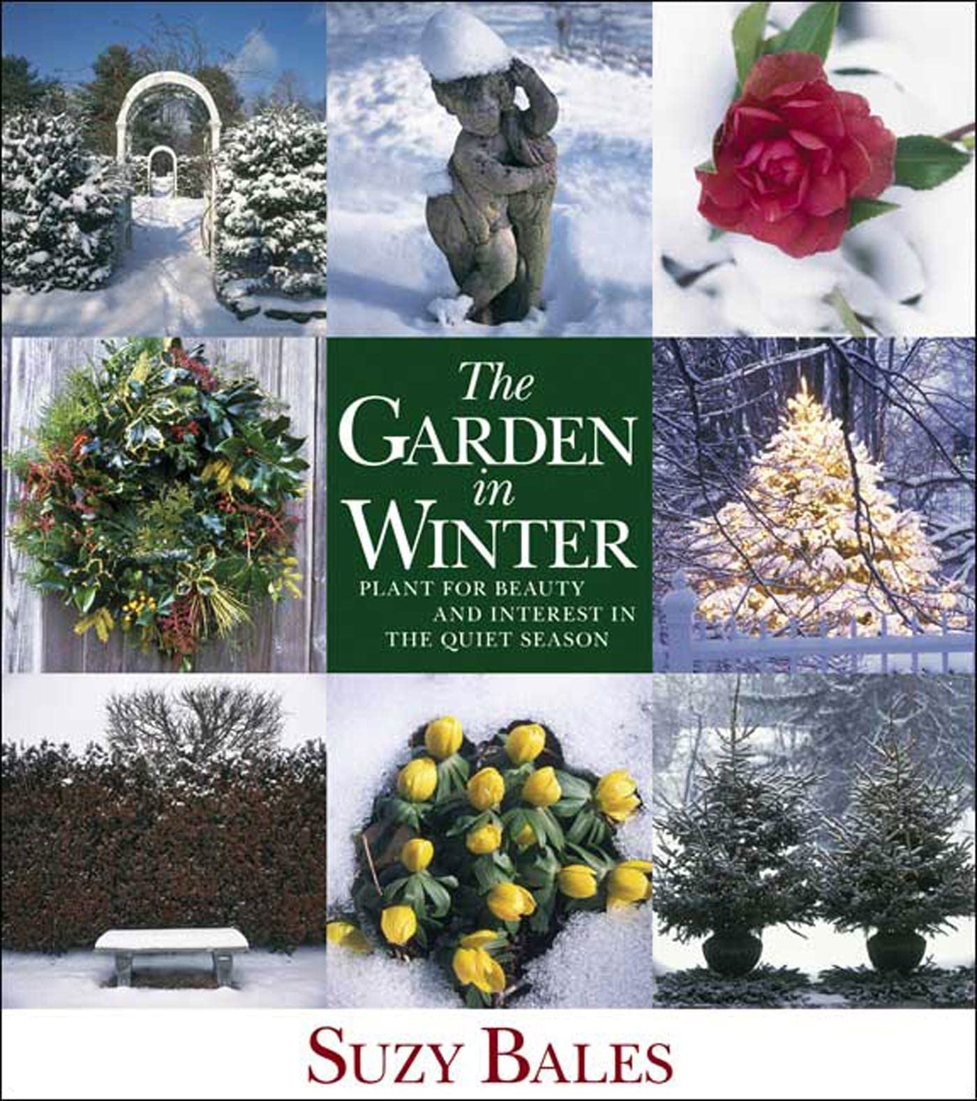 The Garden in Winter: Plant for Beauty and Interest in the Quiet Season,Used