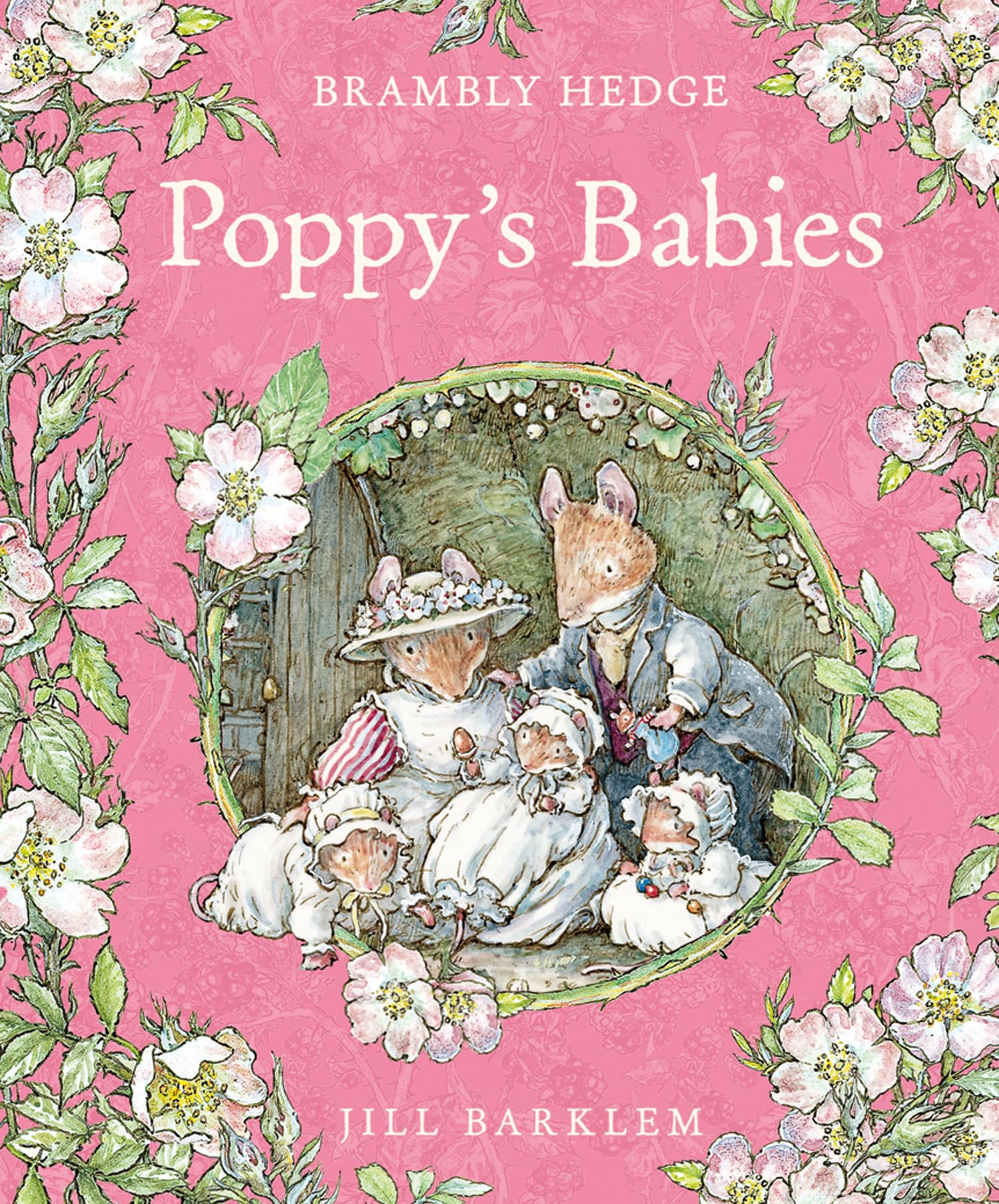 Poppys Babies (Brambly Hedge),Used