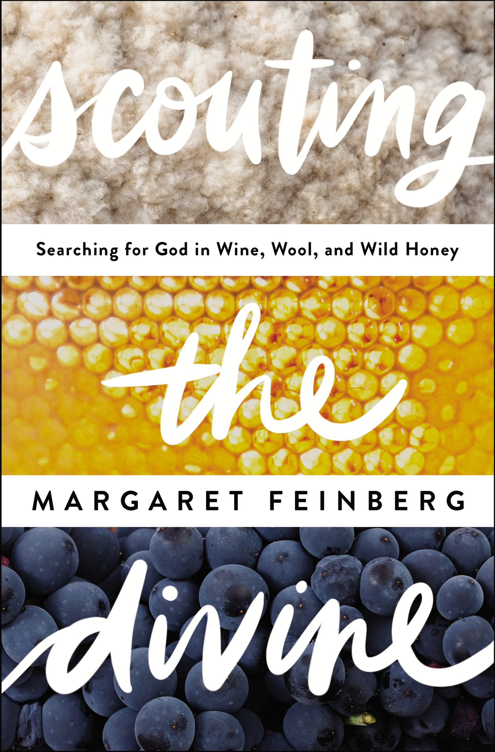 Scouting the Divine: Searching for God in Wine, Wool, and Wild Honey,Used