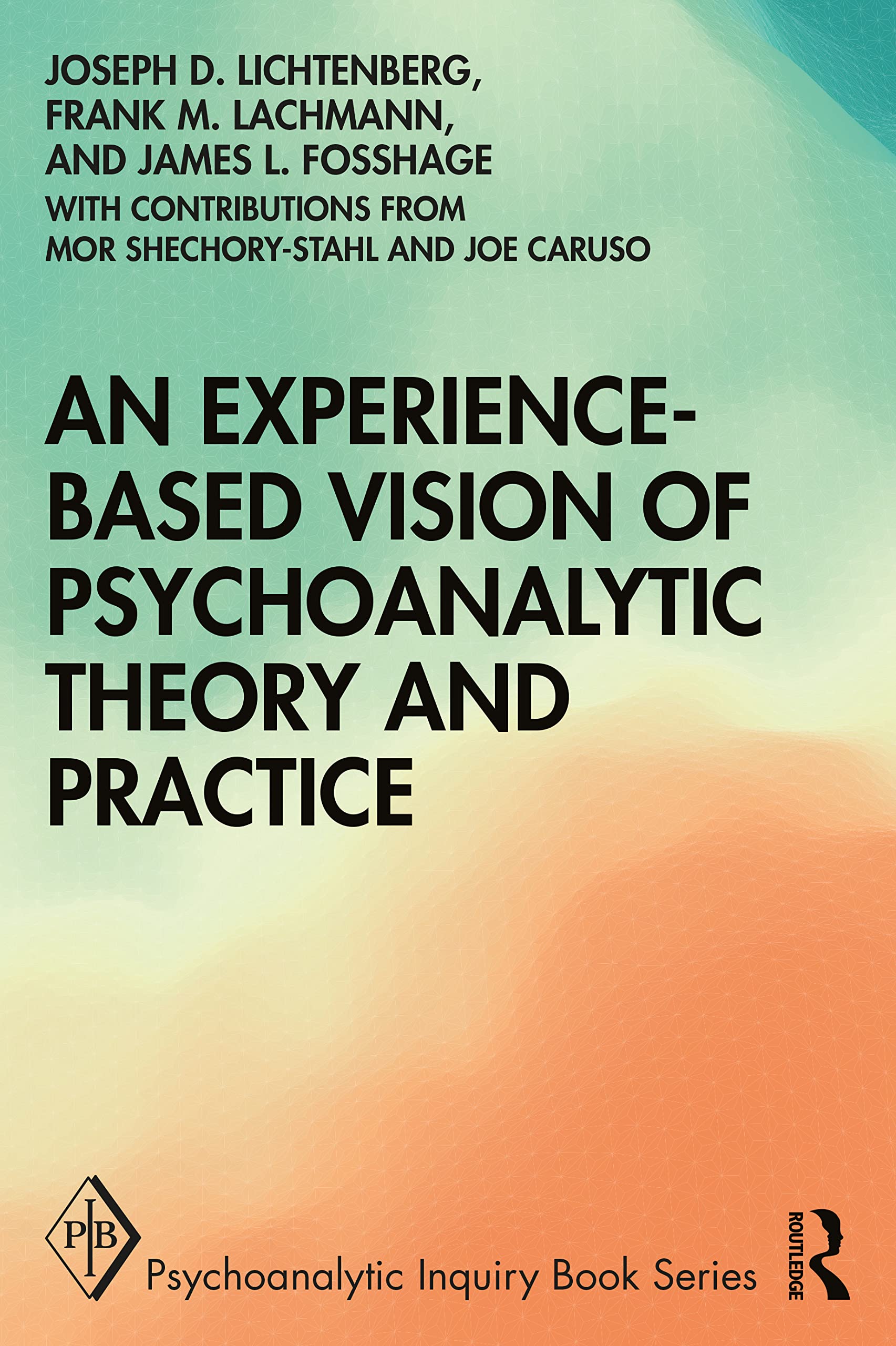 An Experiencebased Vision of Psychoanalytic Theory and Practice (Psychoanalytic Inquiry Book Series),Used