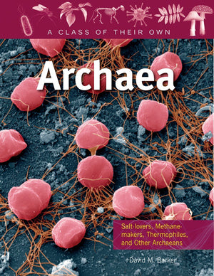 Archaea: Saltlovers, Methanemakers, Thermophiles, And Other Archaeans (Class Of Their Own),New