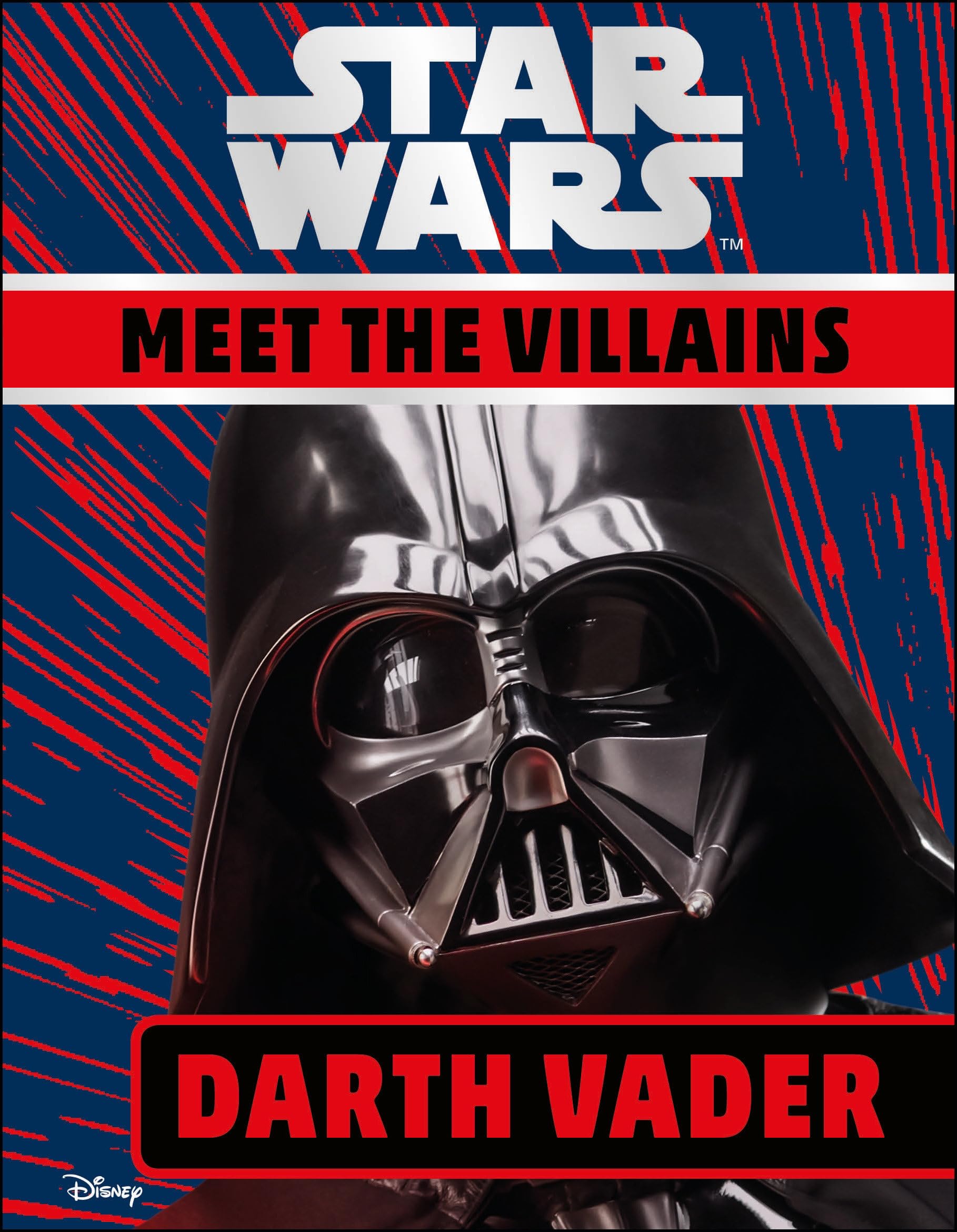Star Wars Meet the Villains Darth Vader,Used