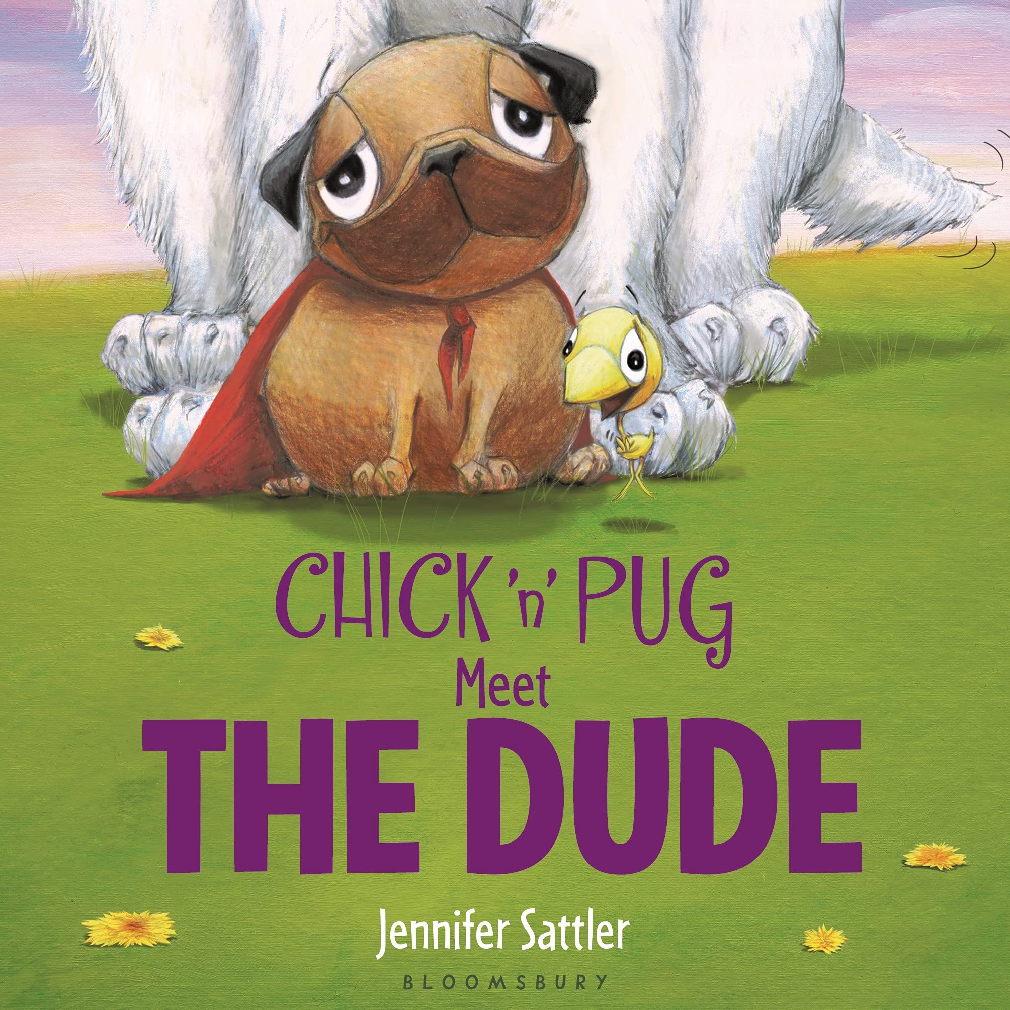 Chick 'N' Pug Meet The Dude,Used