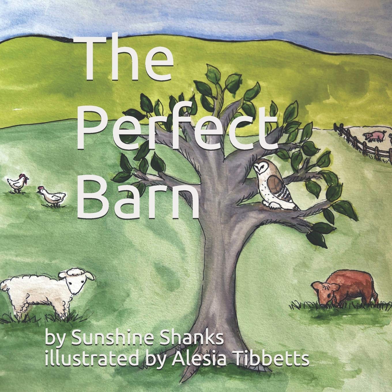 The Perfect Barn,Used