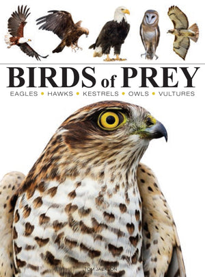 Birds of Prey (Mini Encyclopedia),New
