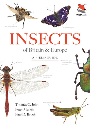 Insects Of Britain And Europe: A Field Guide (Wildguides)