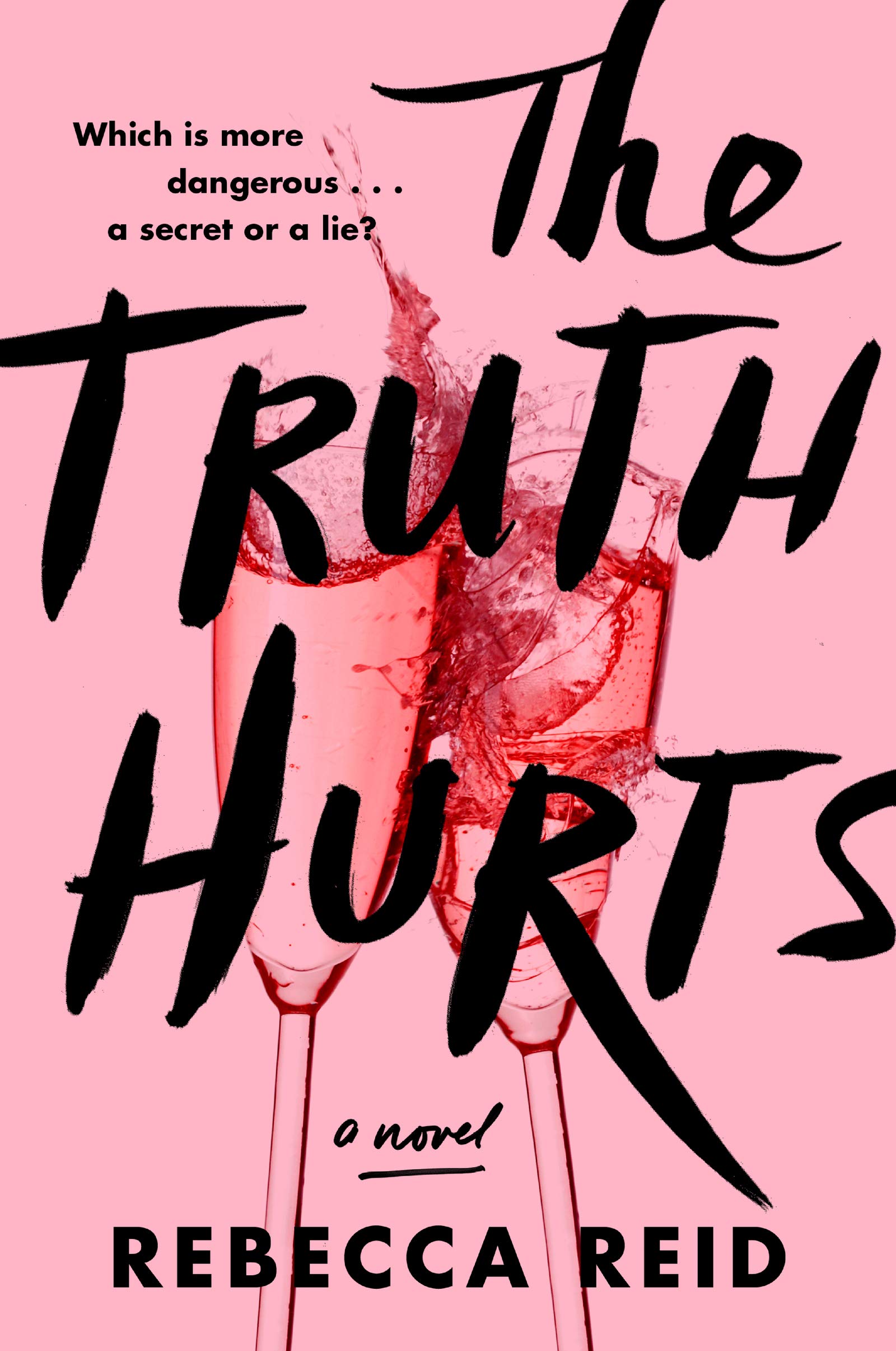 The Truth Hurts: A Novel,Used