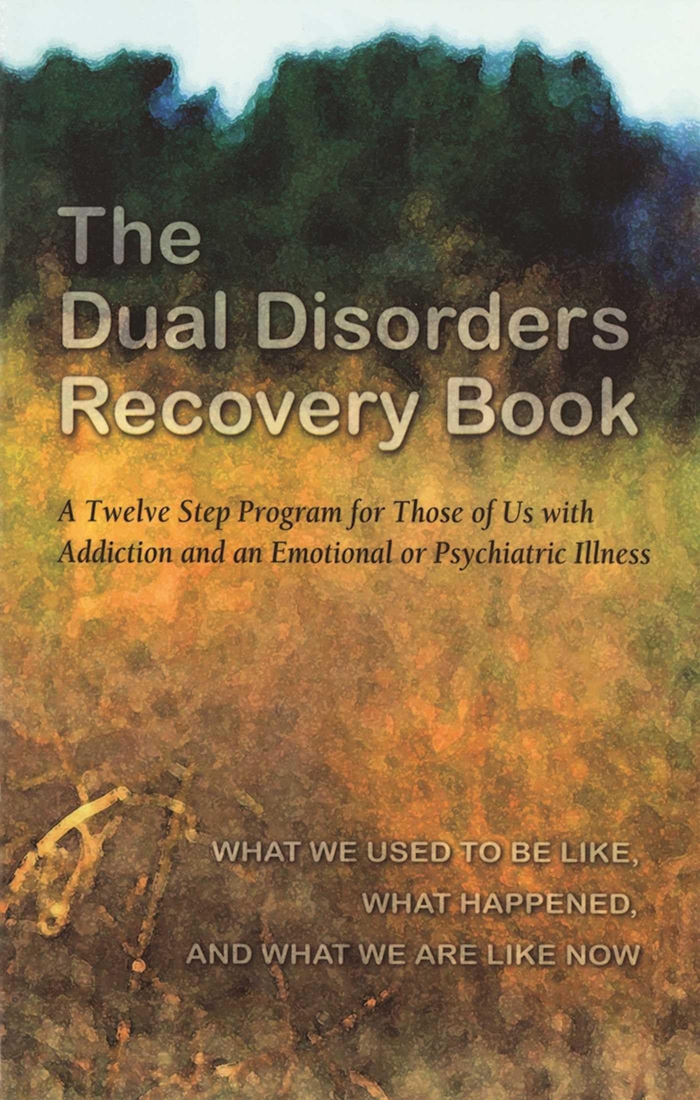 The Dual Disorders Recovery Book: A Twelve Step Program for Those of Us with Addiction and an Emotional or Psychiatric Illness,Used