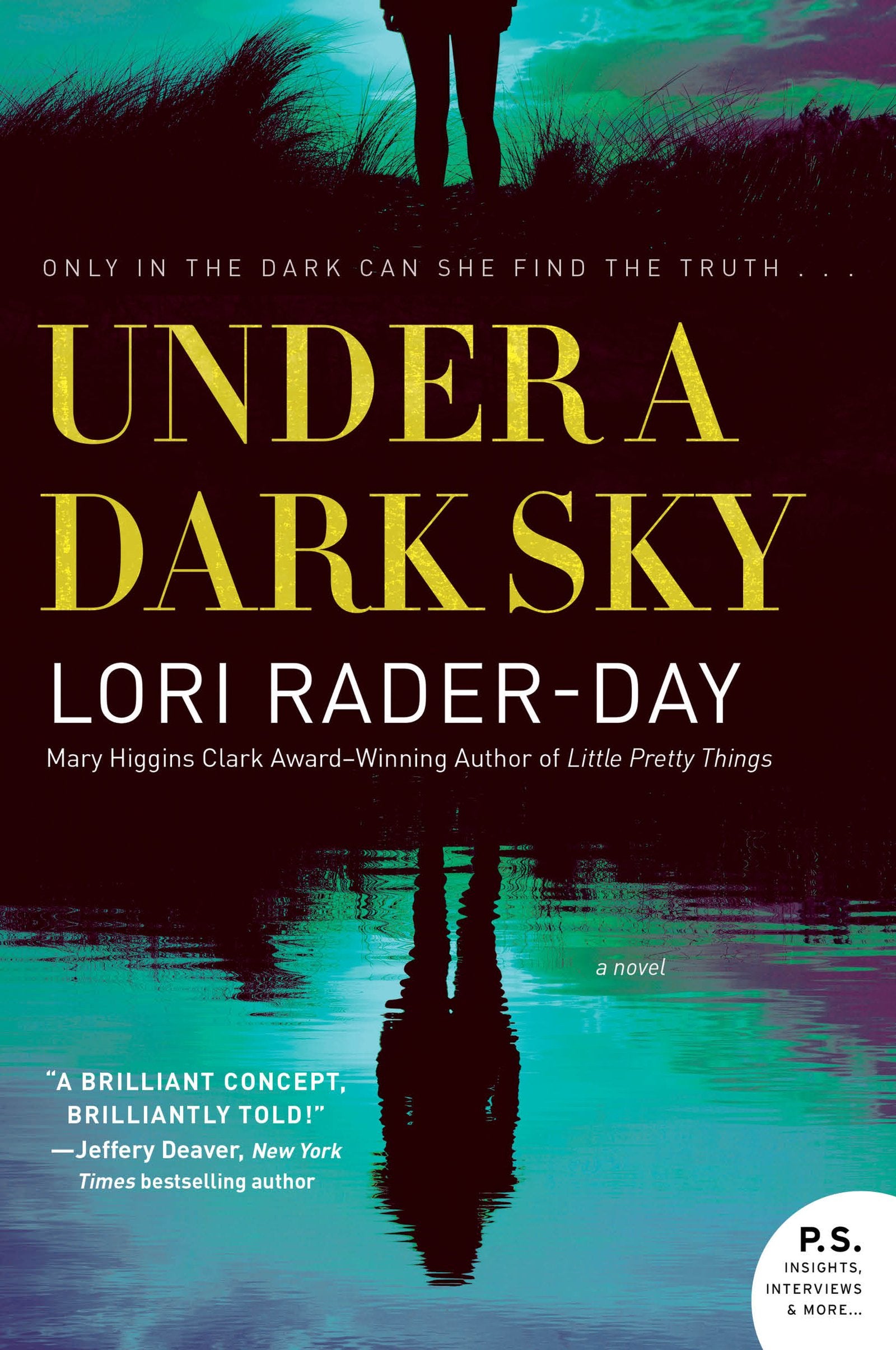 Under a Dark Sky: A Novel,Used