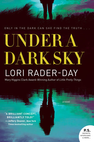 Under a Dark Sky: A Novel,Used