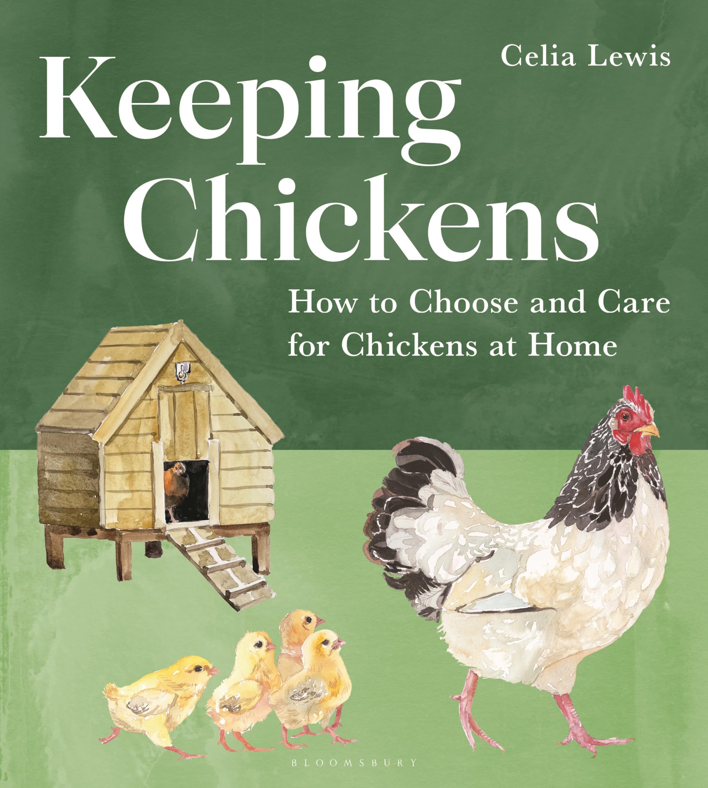 Keeping Chickens: How To Choose And Care For Chickens At Home