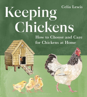 Keeping Chickens: How To Choose And Care For Chickens At Home