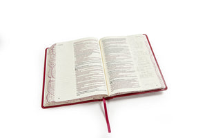 Biblia Reina Valera 1960 de Apuntes, Edicin ilustrada. Smil piel, rosado / Illustrators NoteTaking Bible RVR 1960. LeatherTo,Used