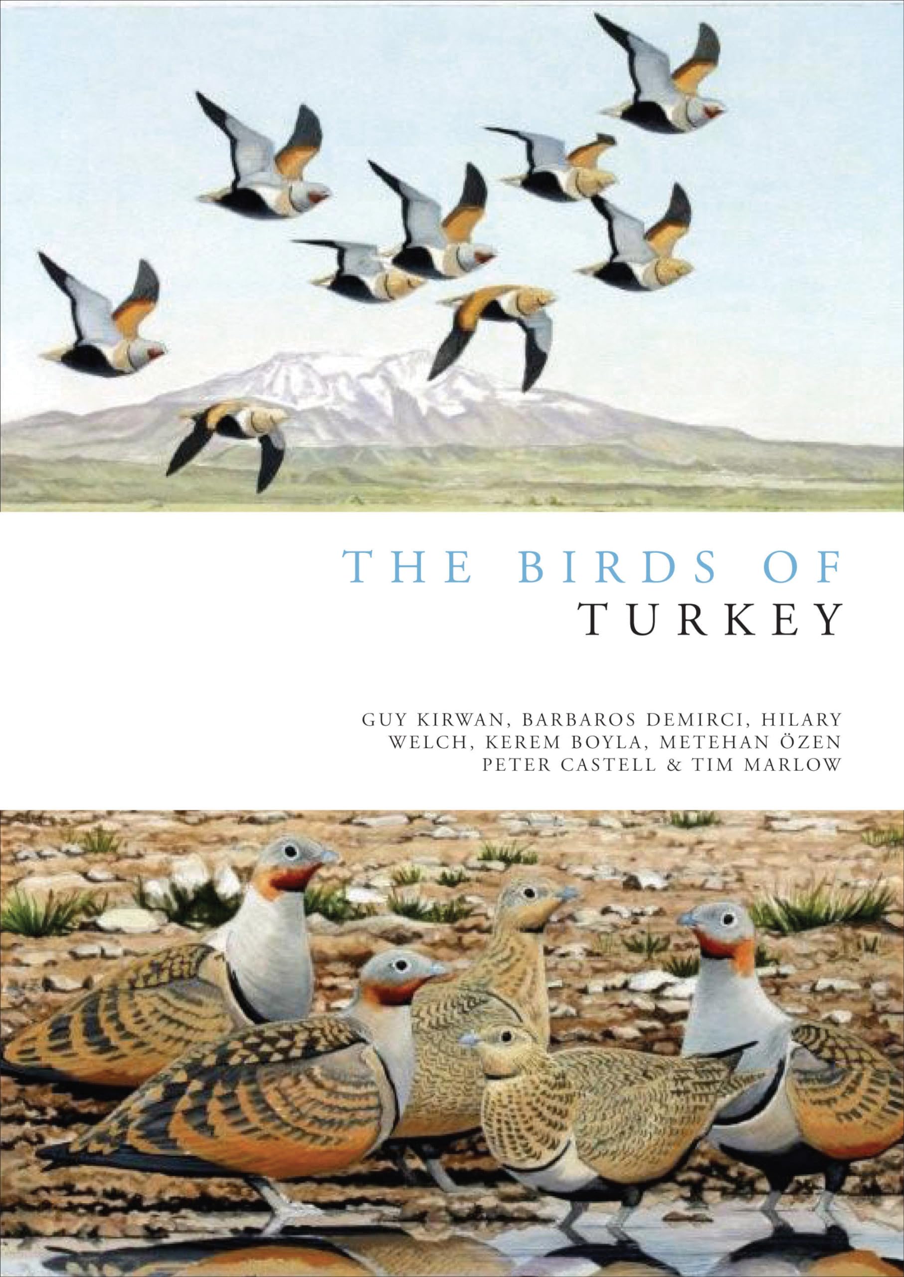 The Birds of Turkey (Helm Field Guides),Used