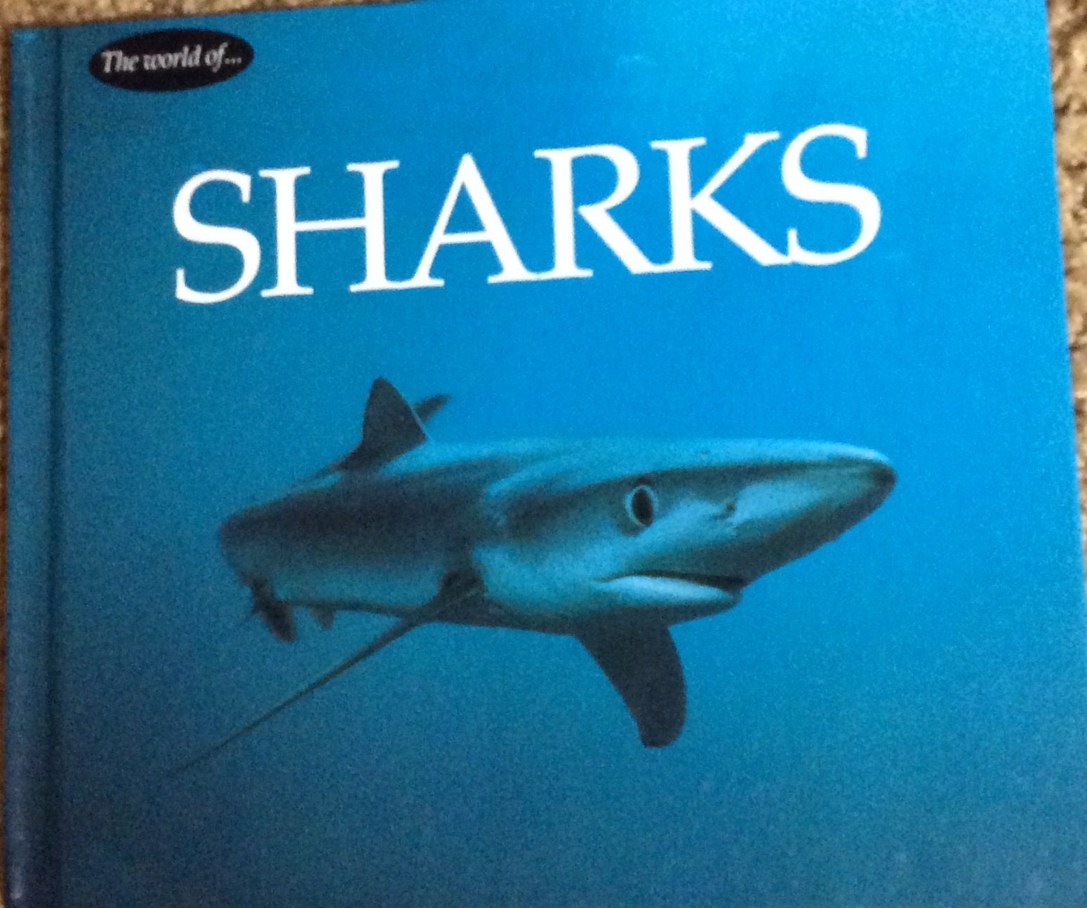 Sharks (The Wildlife Library),Used