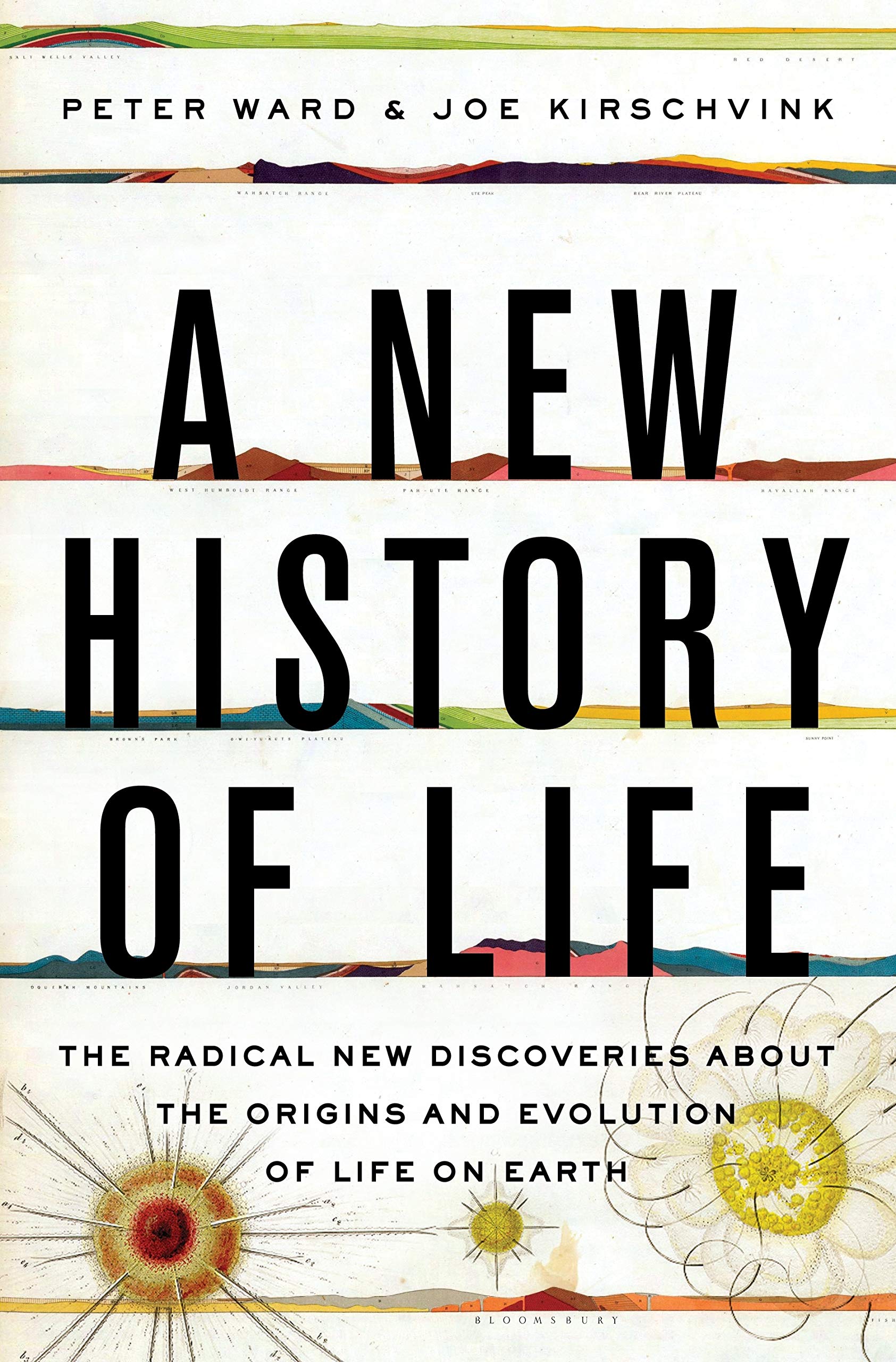 A New History of Life: The Radical New Discoveries about the Origins and Evolution of Life on Earth,Used