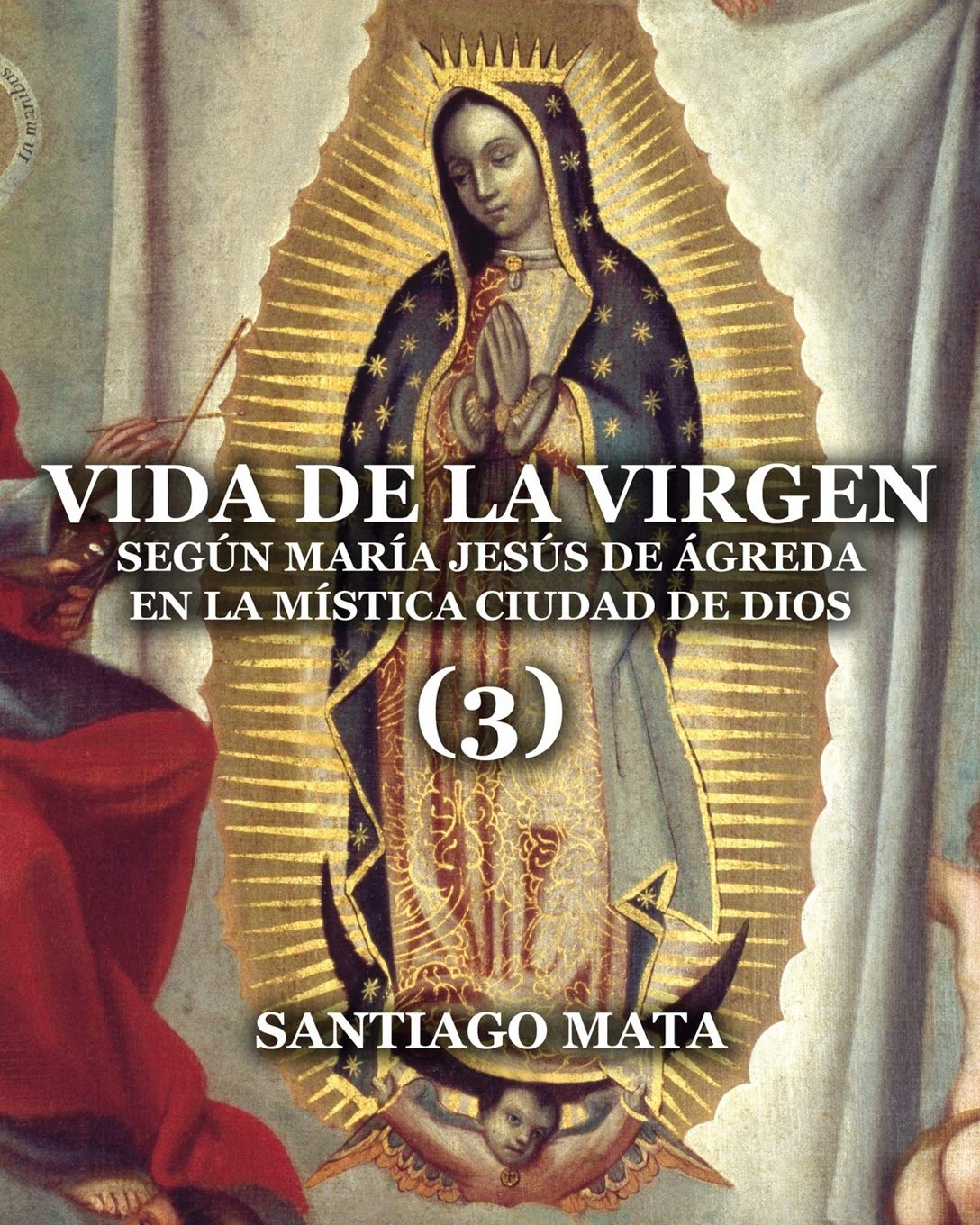 Vida de la Virgen (3): Segn Mara Jess de greda en la Mstica Ciudad de Dios (Spanish Edition),Used