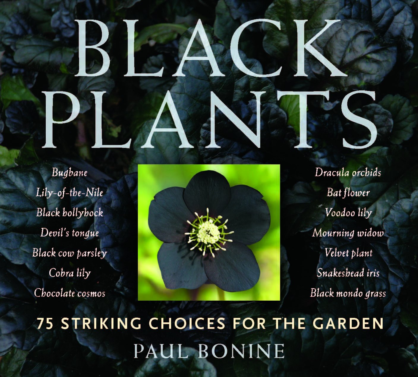 Black Plants: 75 Striking Choices For The Garden