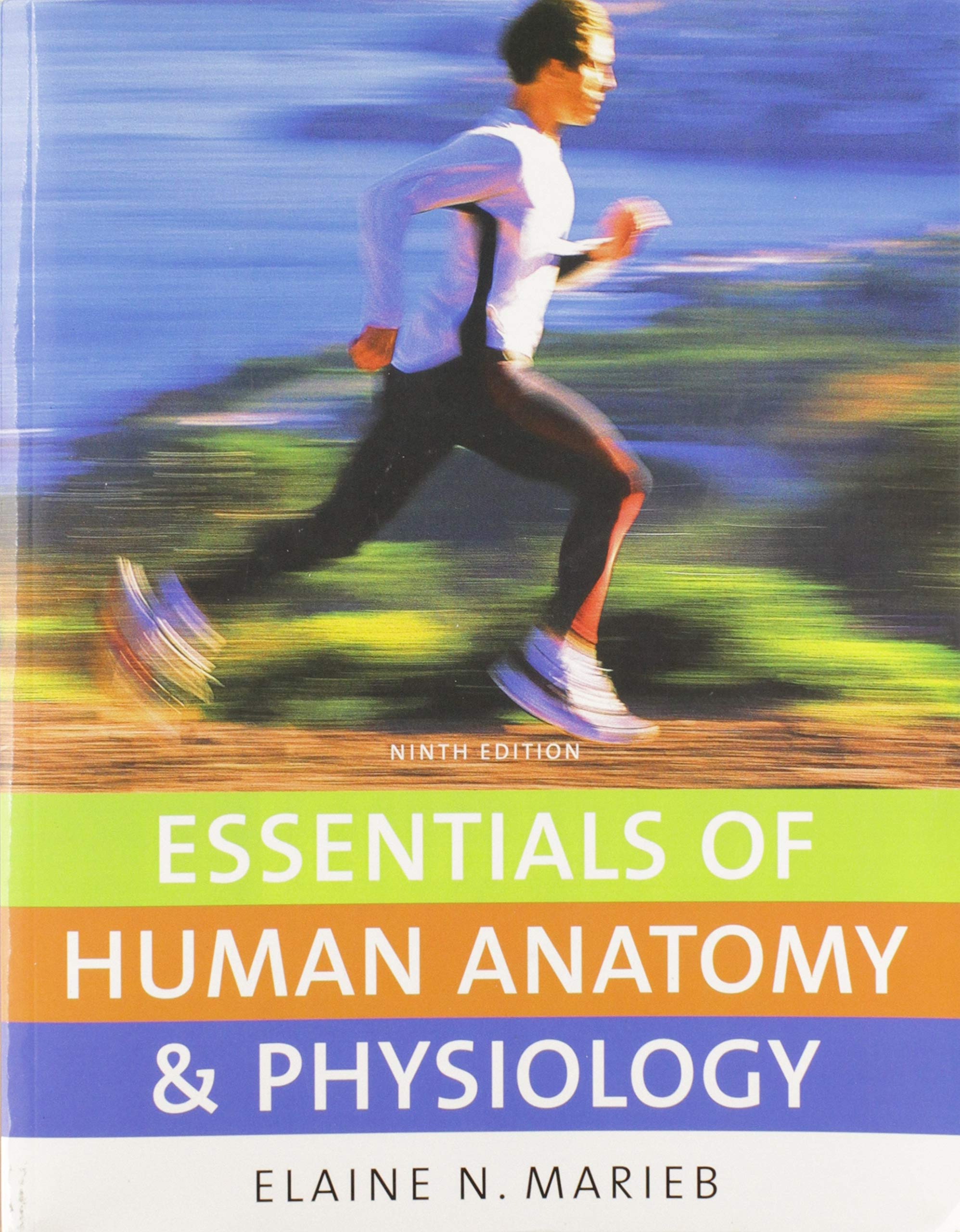 Essentials of Human Anatomy & Physiology (9th Edition),Used
