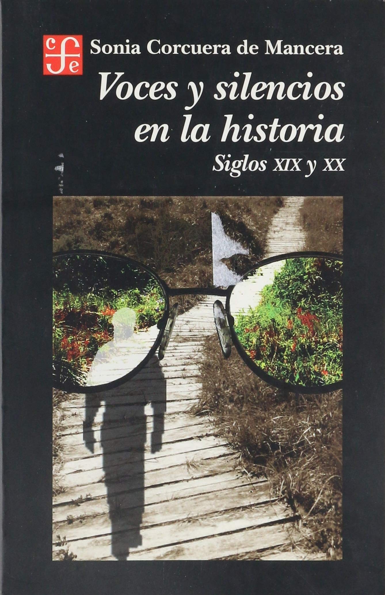 Voces y silencios en la historia : siglos XIX y XX (Spanish Edition),Used