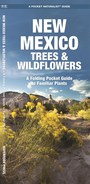 New Mexico Trees & Wildflowers: A Folding Pocket Guide To Familiar Plants (Wildlife And Nature Identification)