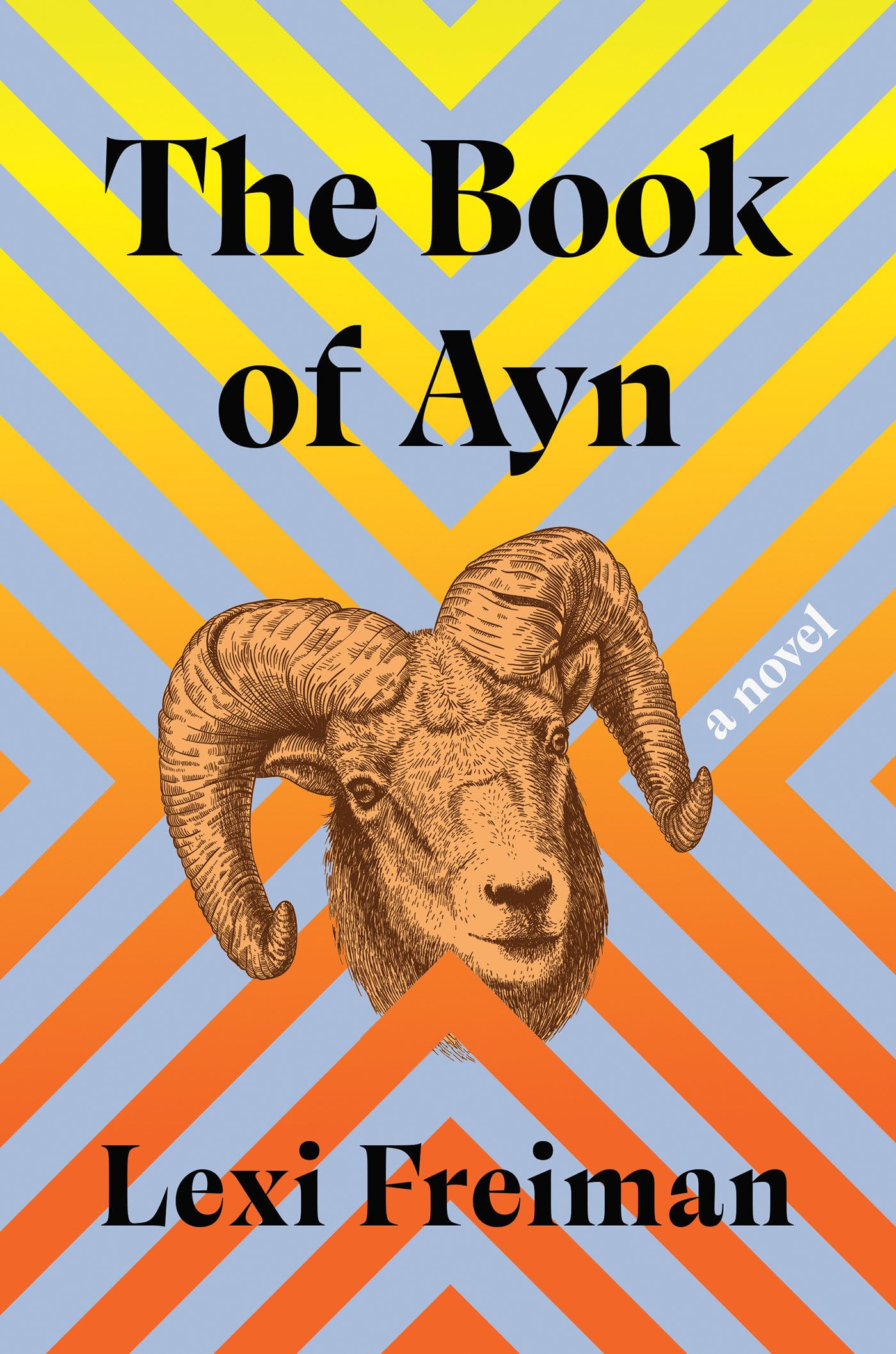 The Book Of Ayn: A Novel,Used