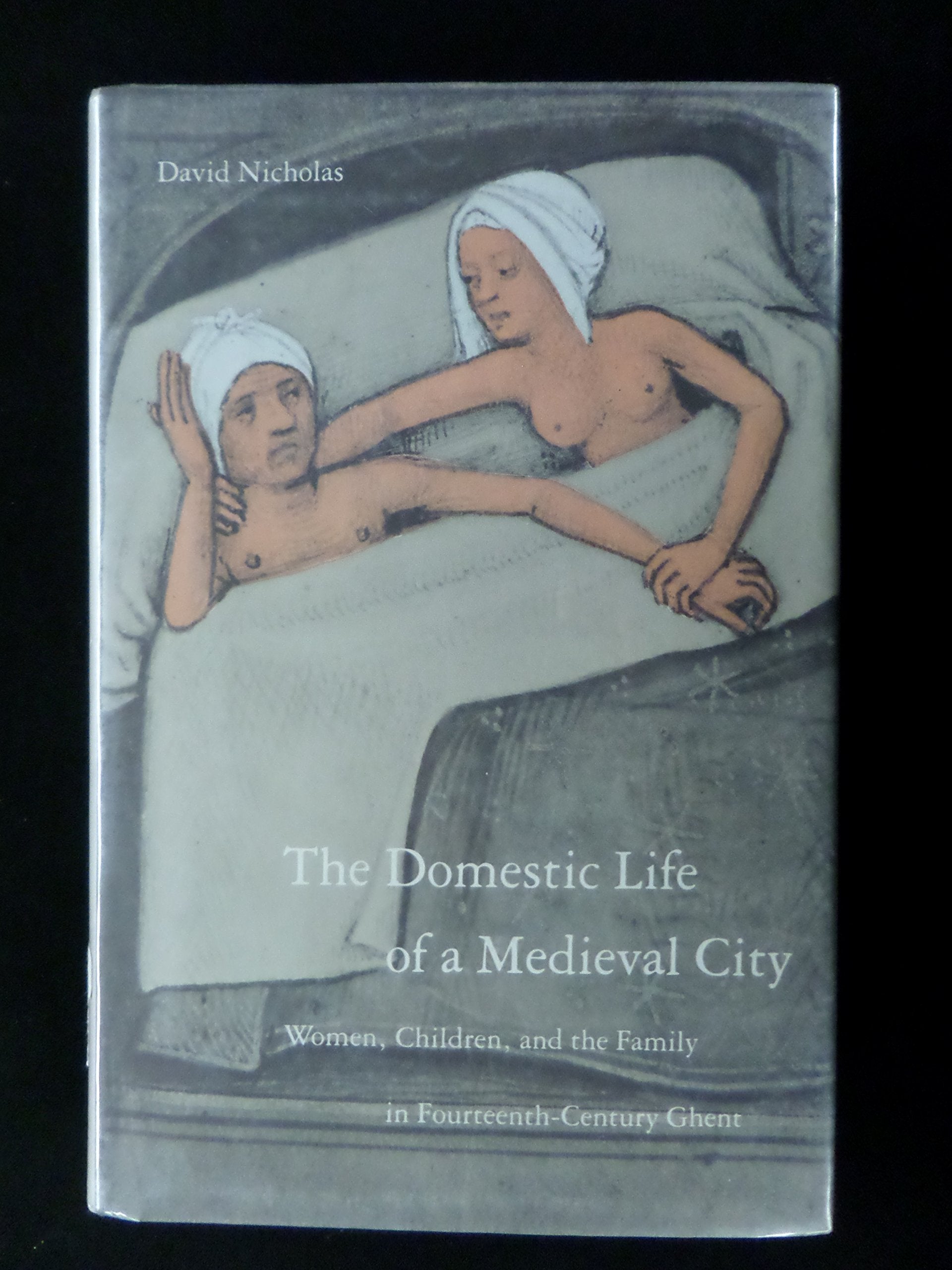 The Domestic Life of a Medieval City: Women, Children, and the Family in 14th Century Ghent,Used