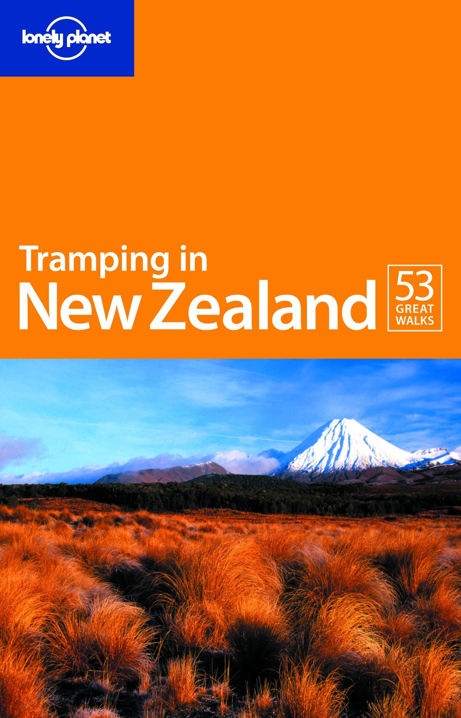 Tramping in New Zealand 6 (LONELY PLANET TRAMPING IN NEW ZEALAND),Used