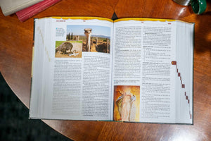 Nelson's Illustrated Bible Dictionary: New and Enhanced Edition,New