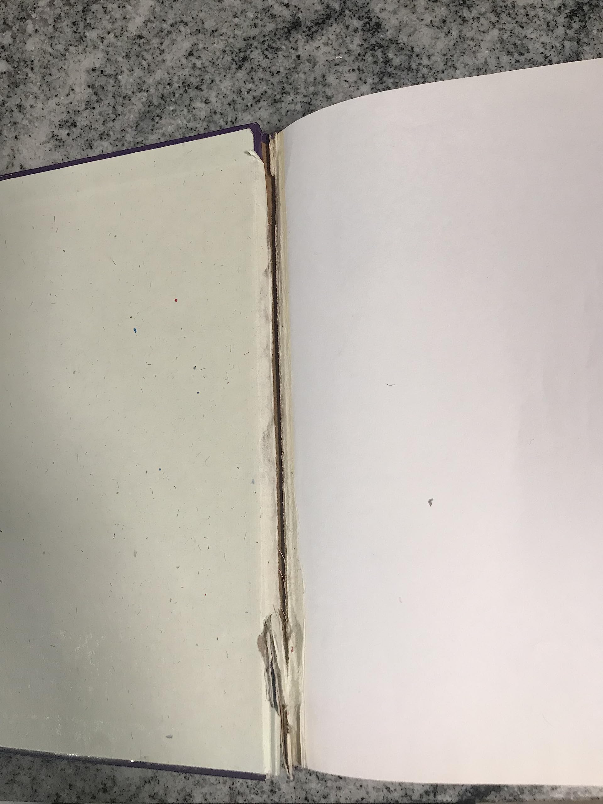 Life Application Study Bible NKJV,Used