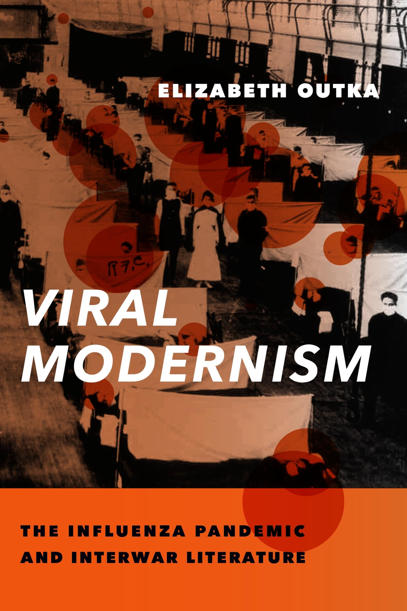 Viral Modernism: The Influenza Pandemic And Interwar Literature (Modernist Latitudes),New