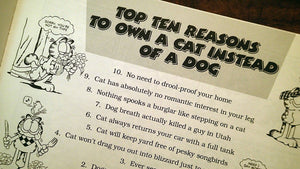 Garfield Takes His Licks,Used