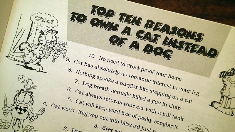 Garfield Takes His Licks,Used