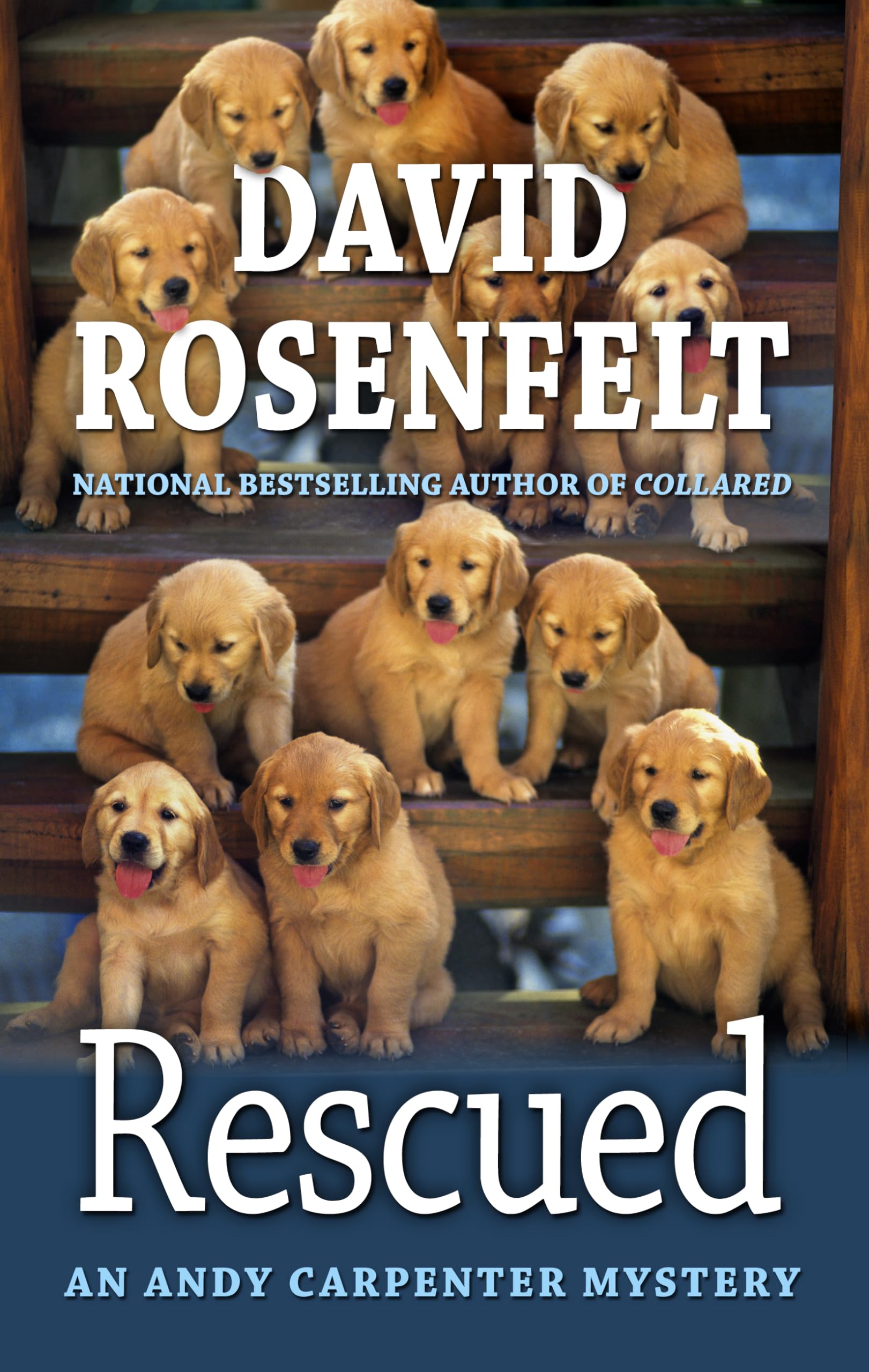 Rescued (An Andy Carpenter Mystery),Used