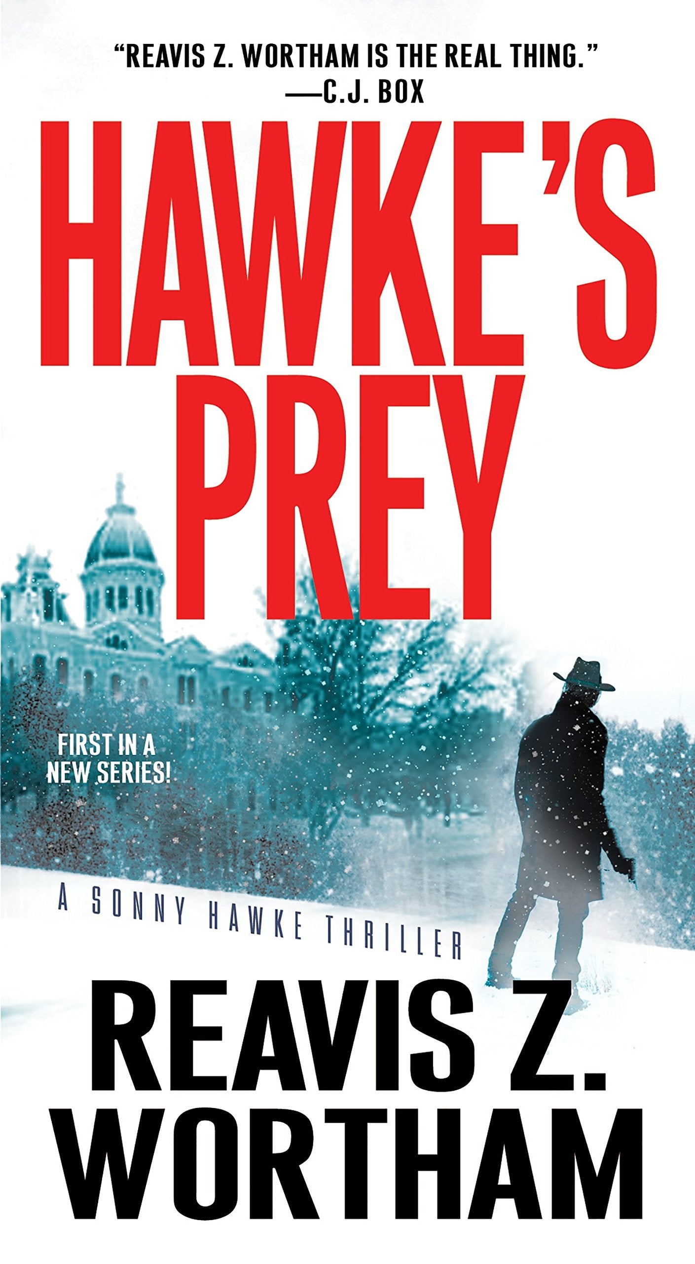 Hawke's Prey (A Sonny Hawke Thriller),Used